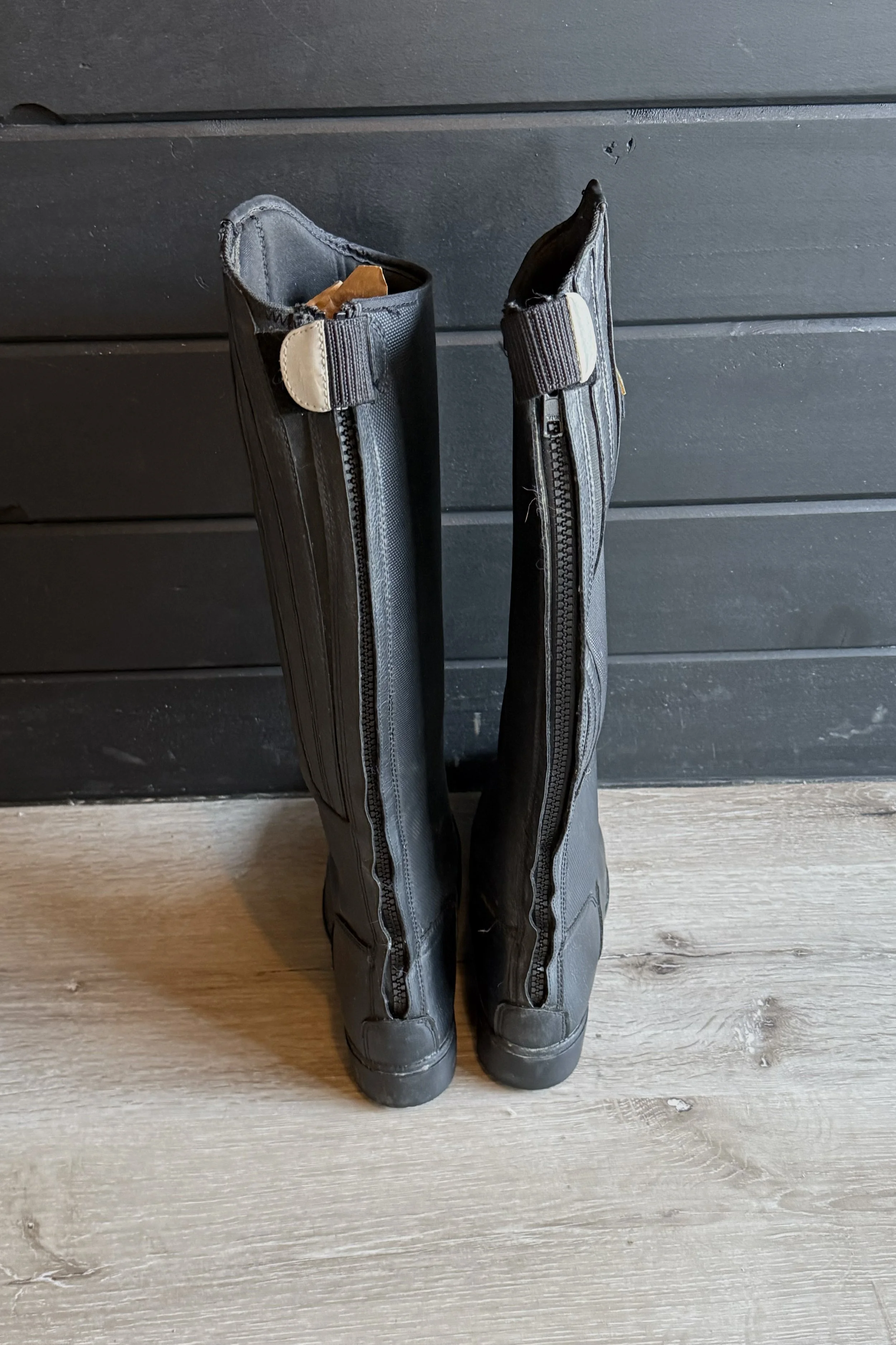 mountain horse 3.jpg