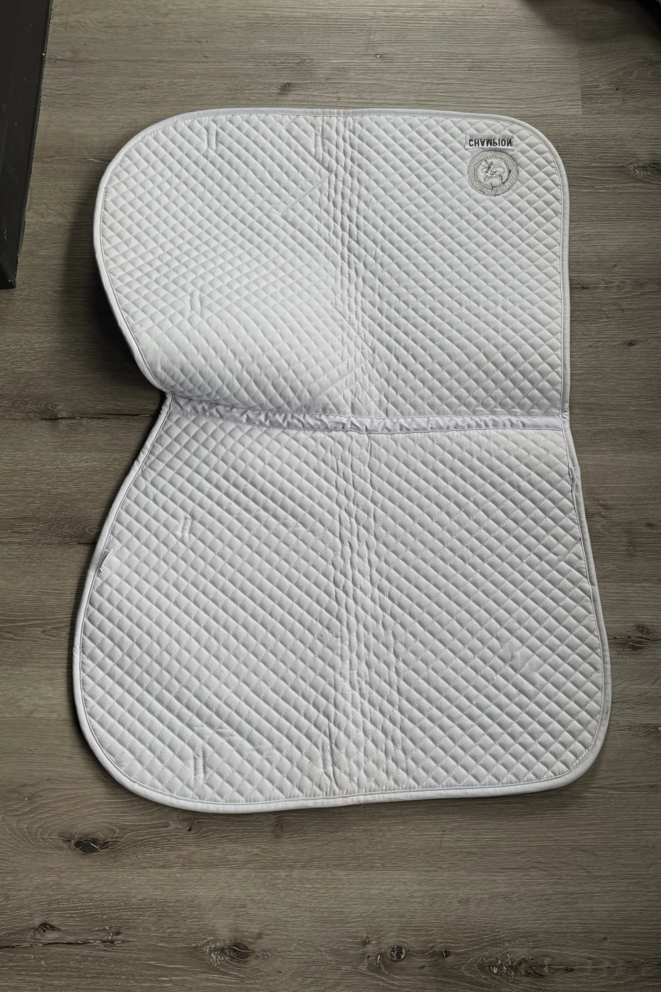 saddle 1.jpg