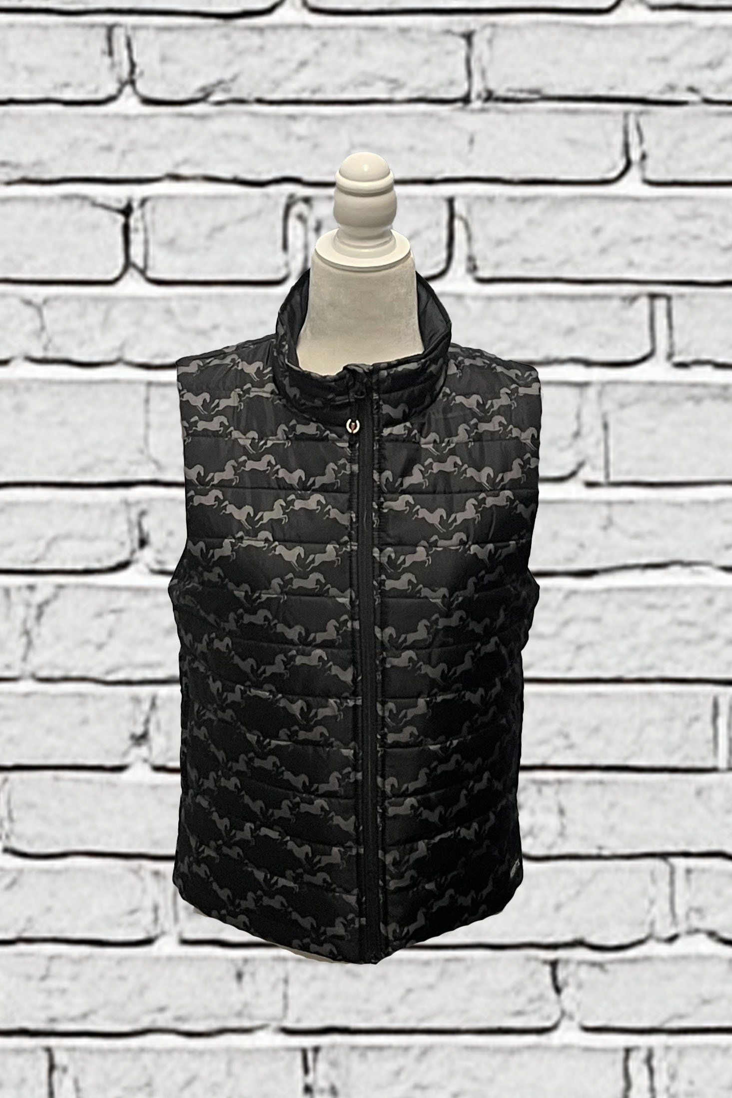 vest 2 .jpg