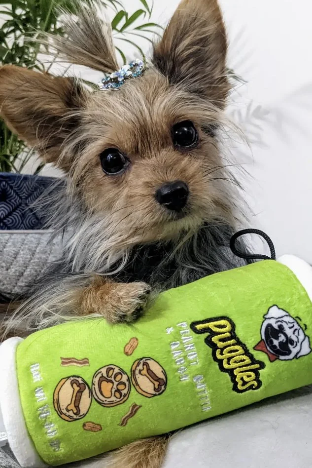 Huxley & Kent Puggles Can Dog Toy