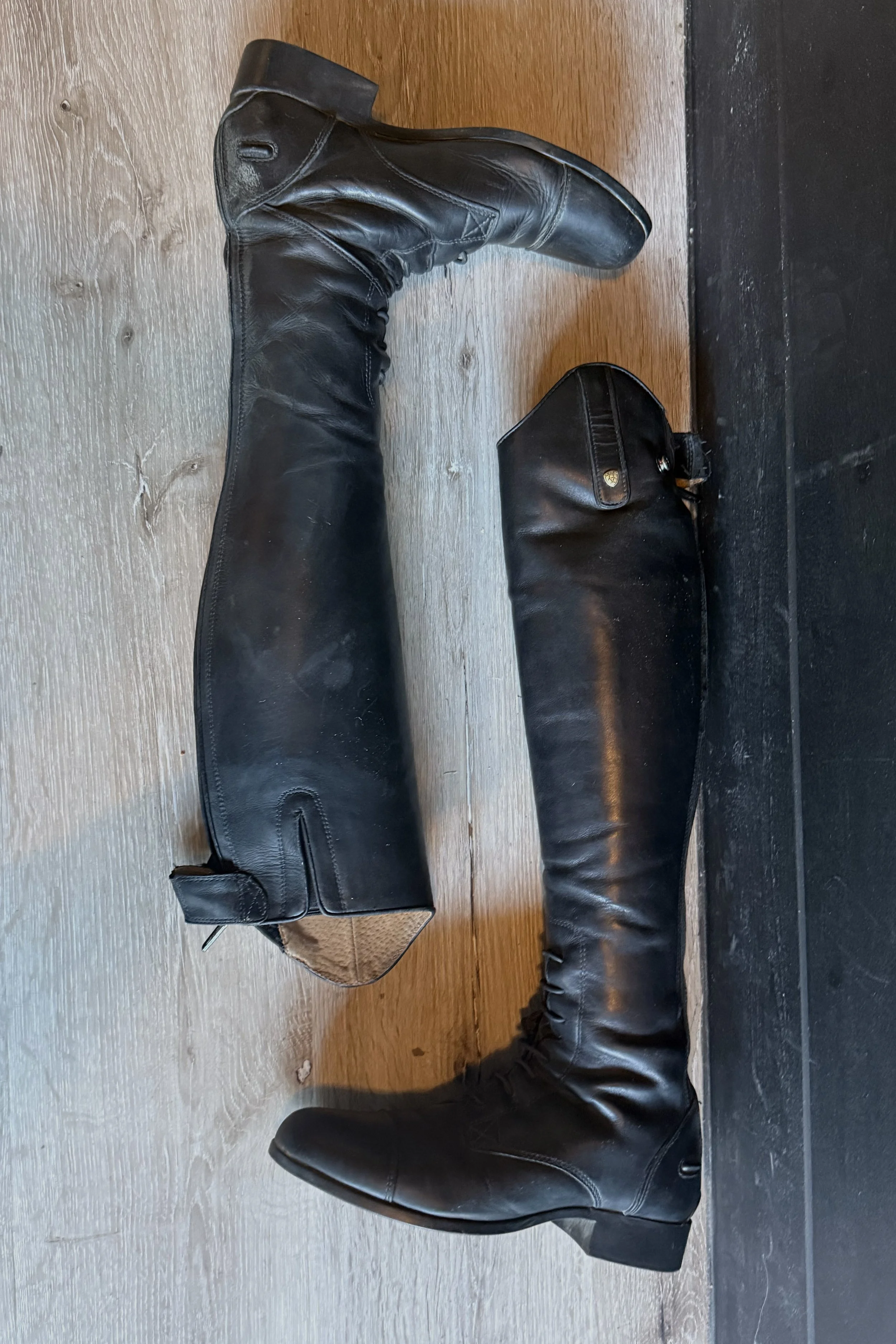 ariat 2 .jpg