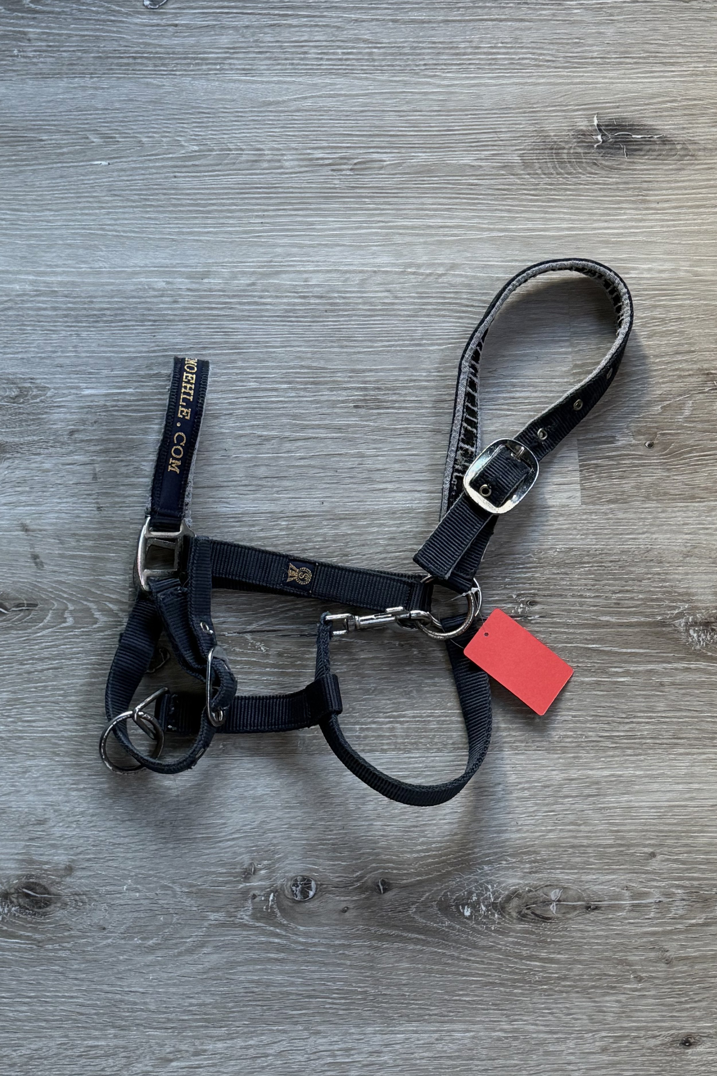 halter.jpg