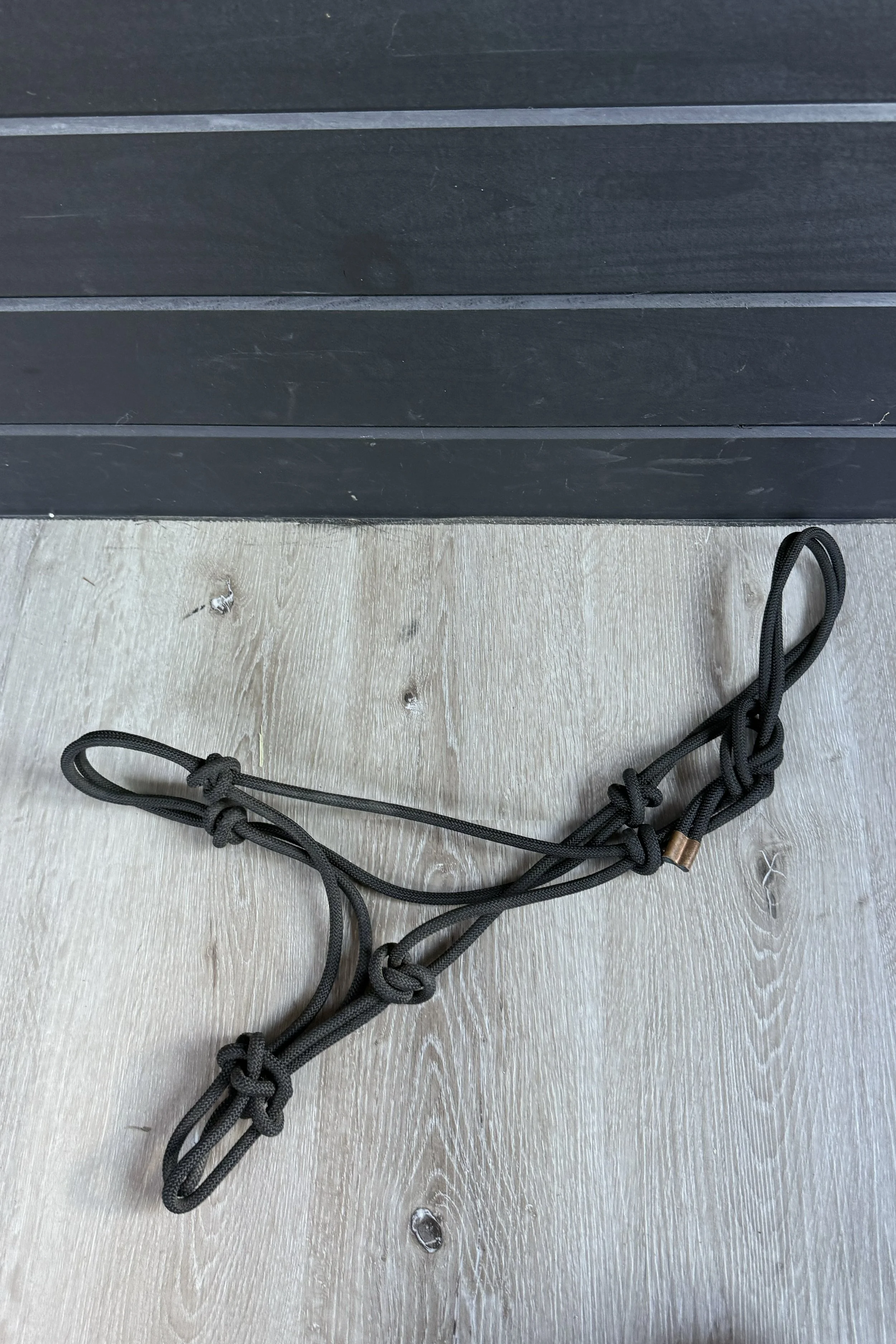 rope halter.jpg