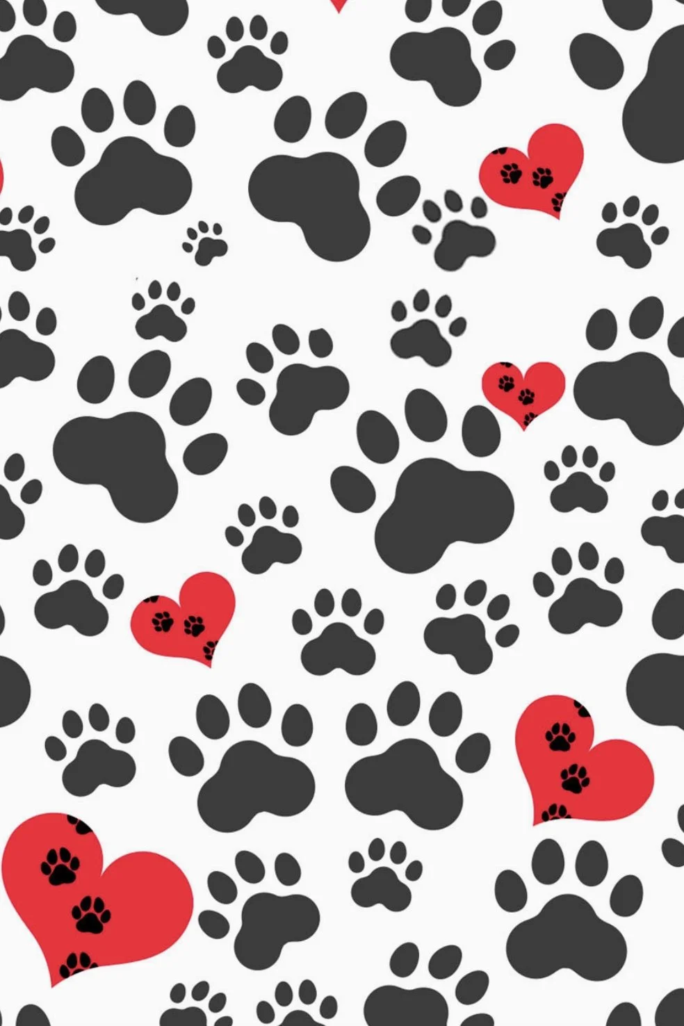 paw-2.jpg