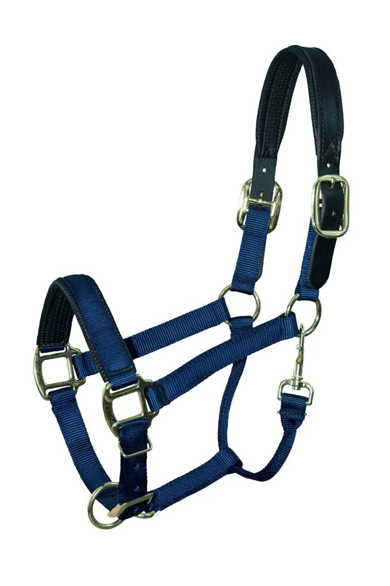 Premium Nylon Breakaway Halter W/Padded Crown/Nose In Navy