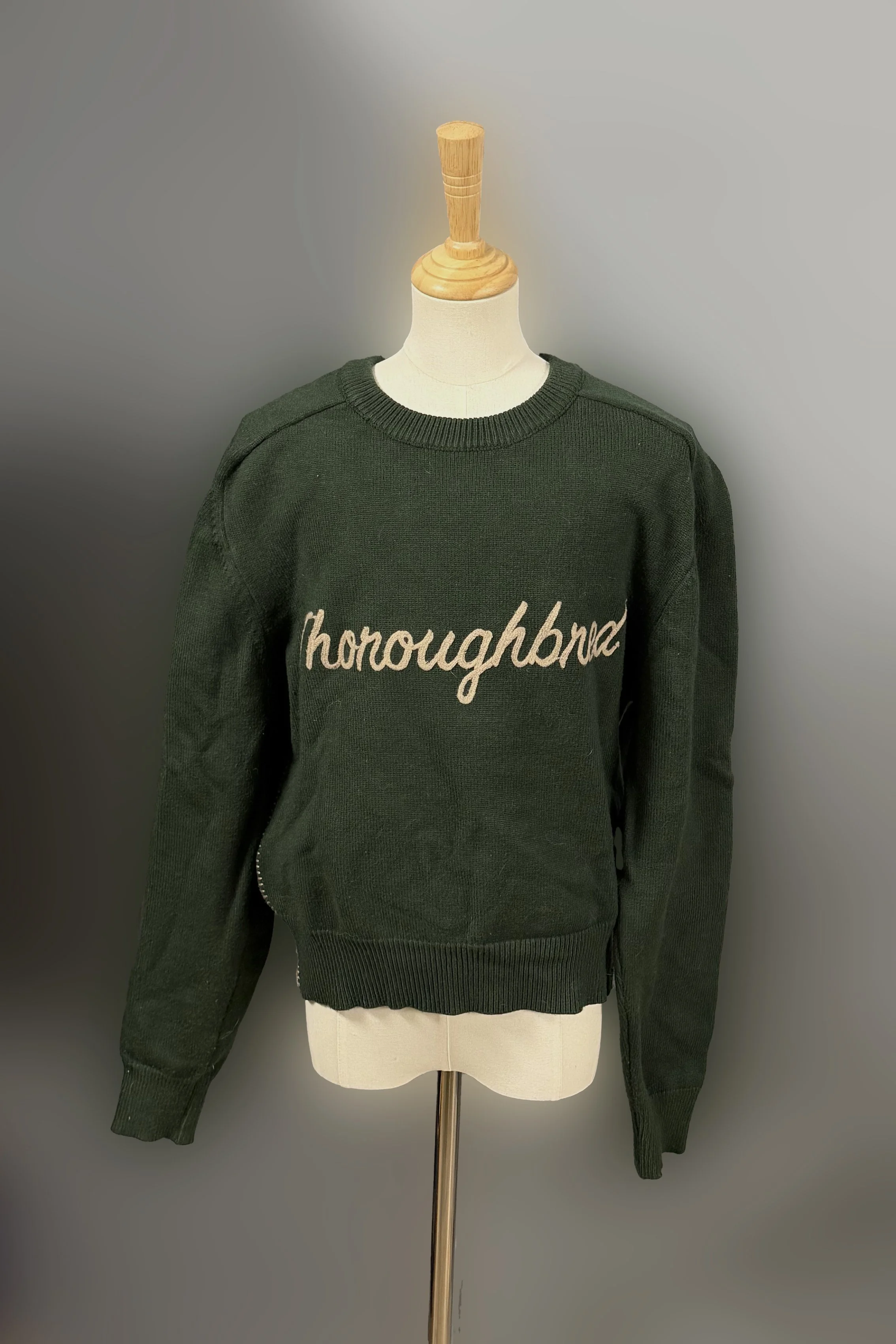 Thoroughbred 2 .jpg