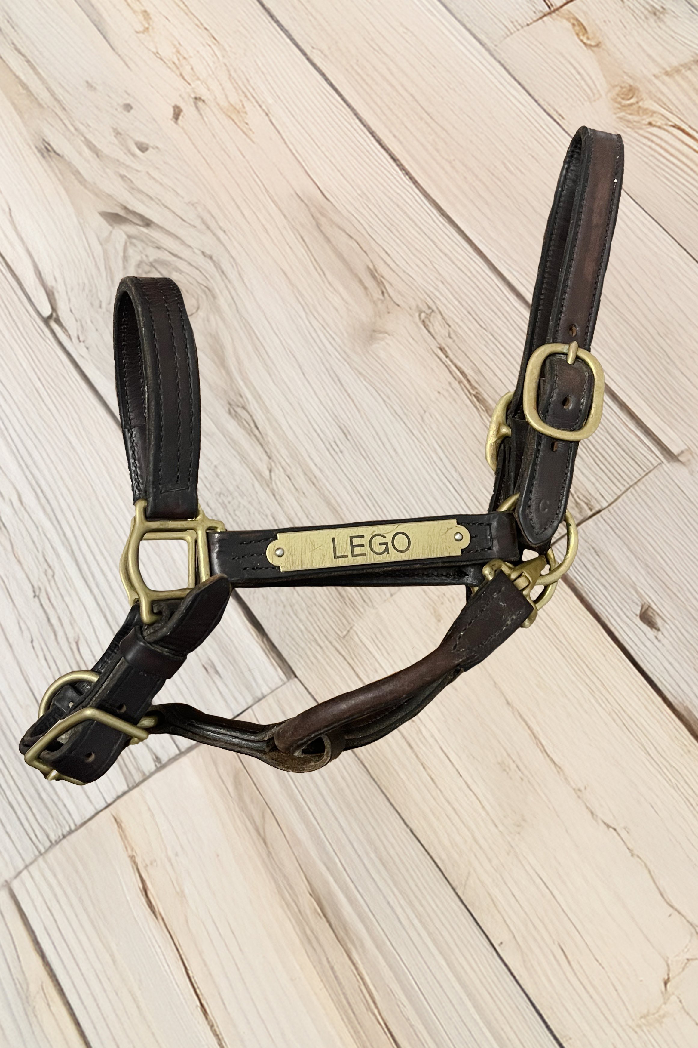 halter .jpg