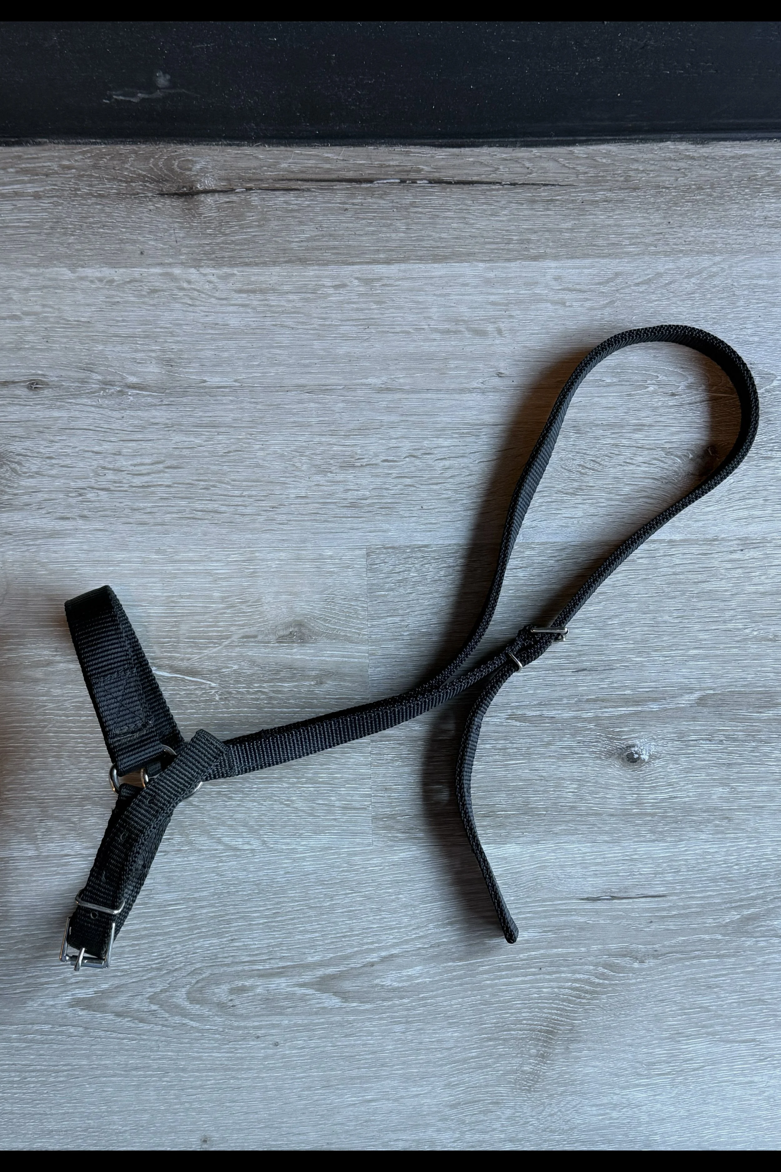 Nylon Grooming Halter In Black - Horse