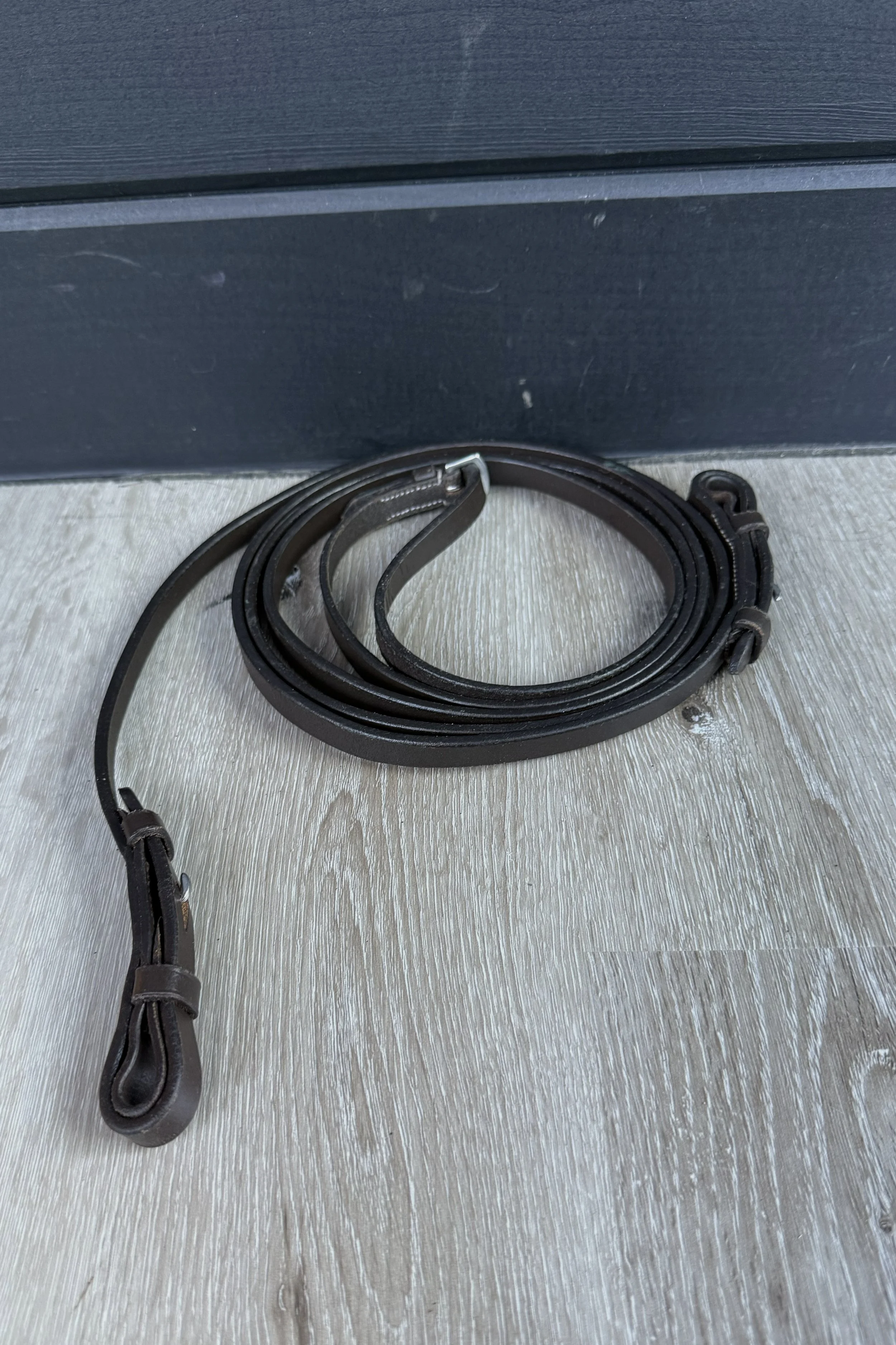 curb reins .jpg