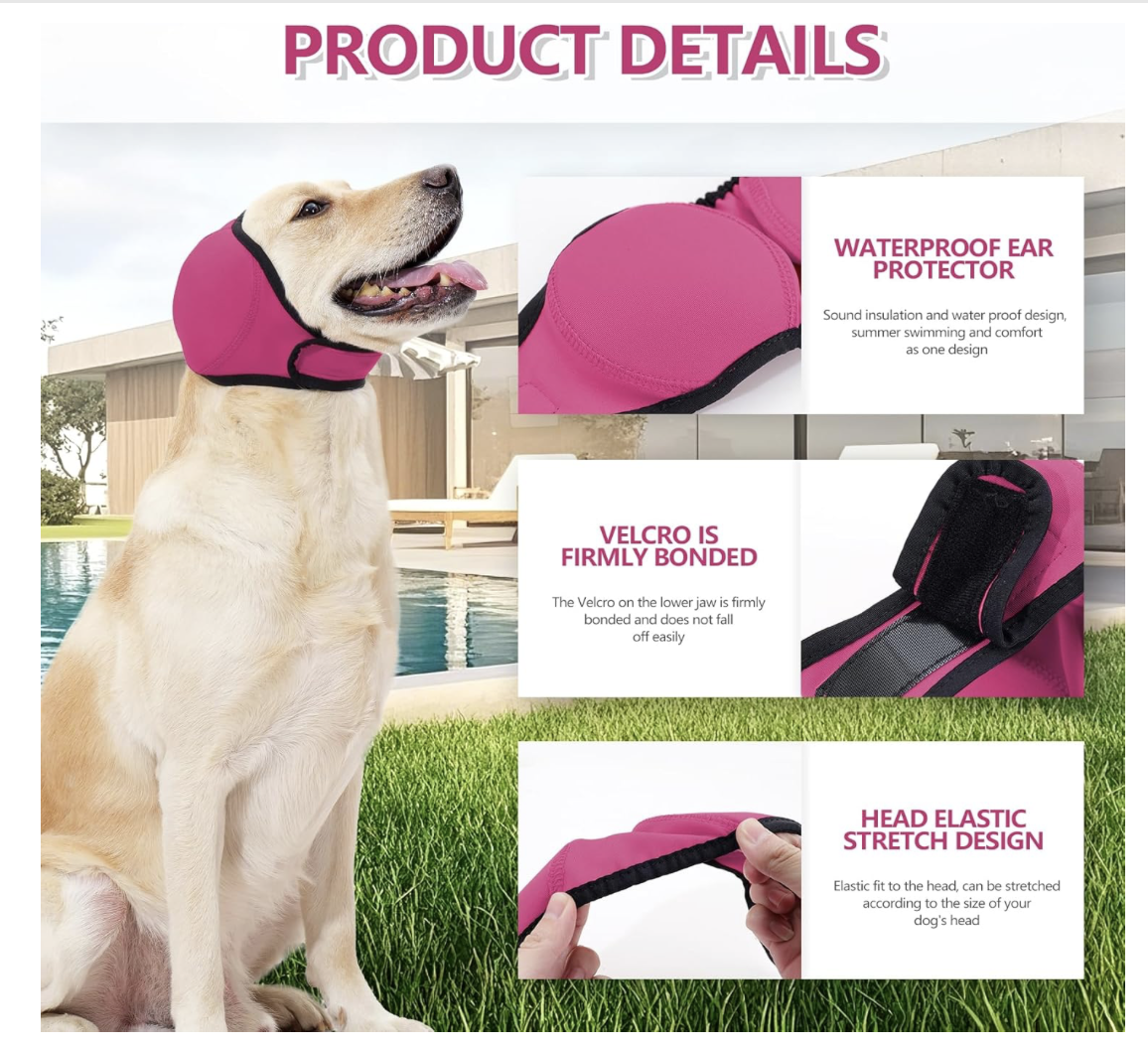 Screenshot 2026-04-02 at 7.50.11 PM.png