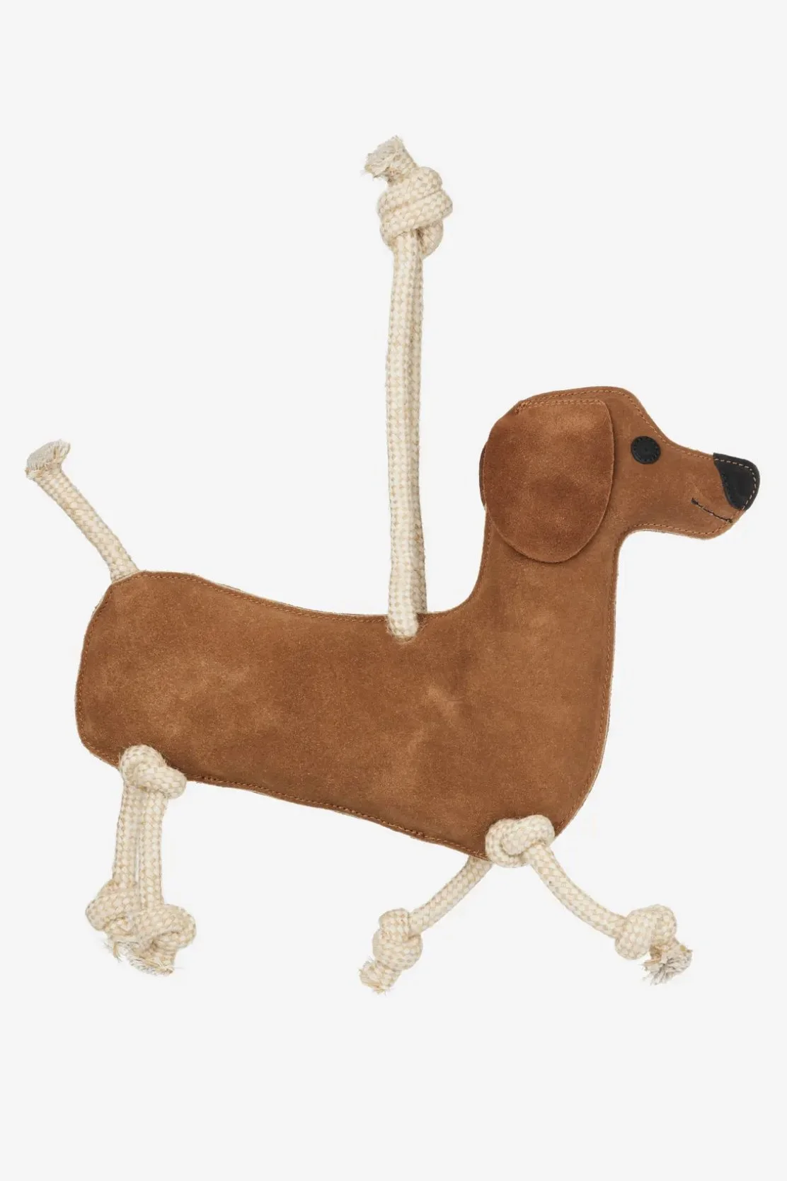 dog-3.jpg