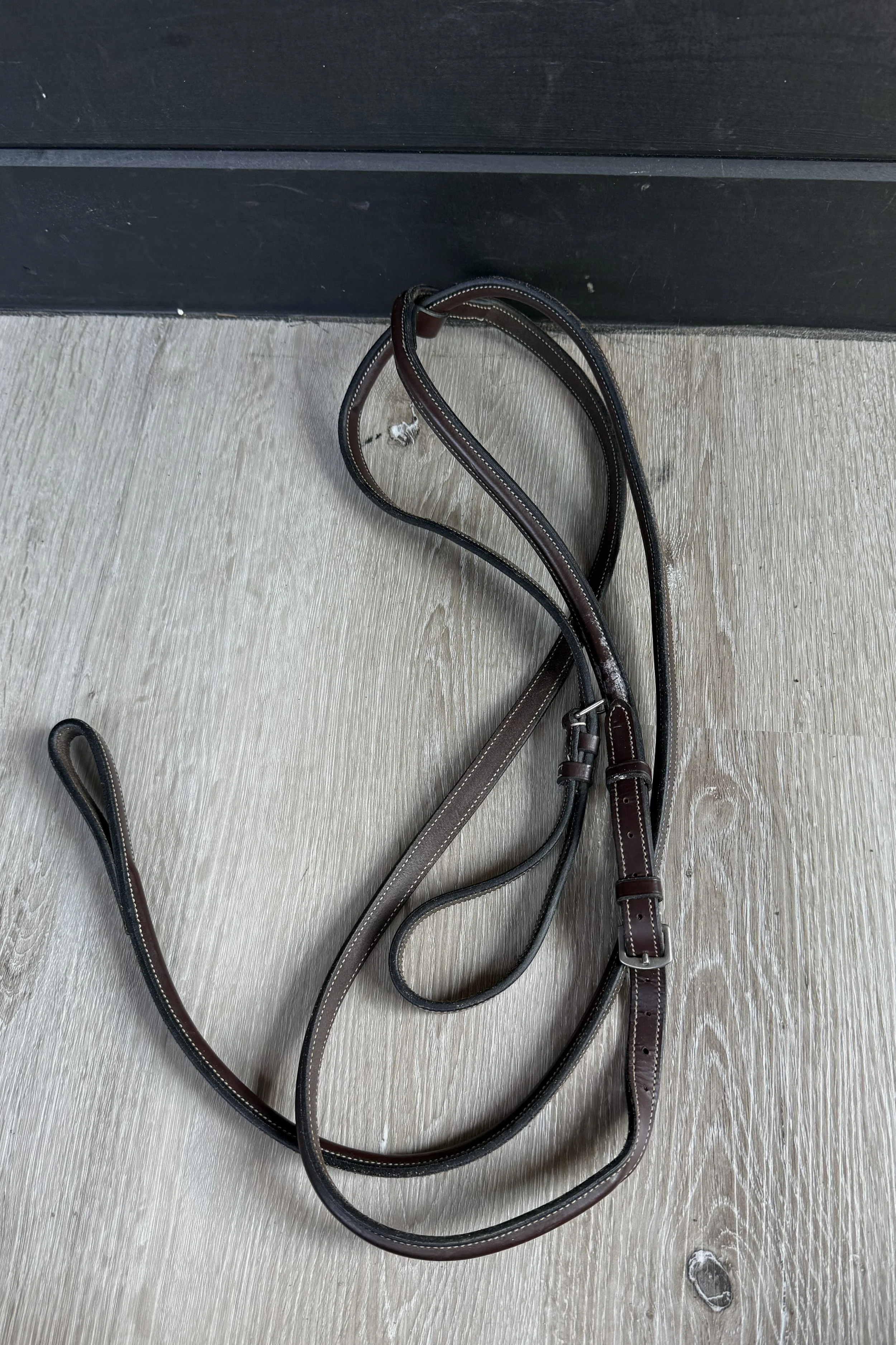 standing martingale .jpg