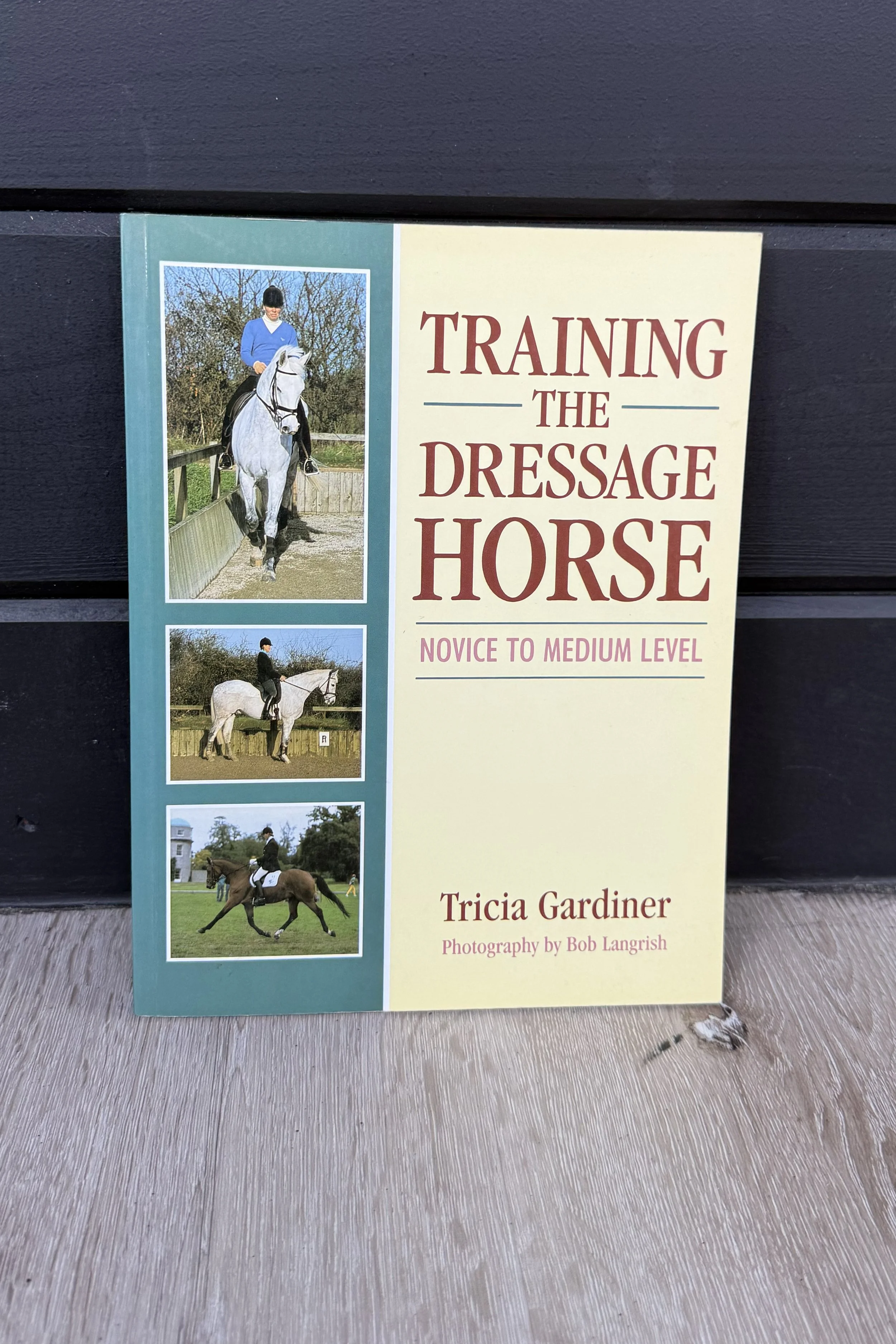 training the dressage horse.jpg