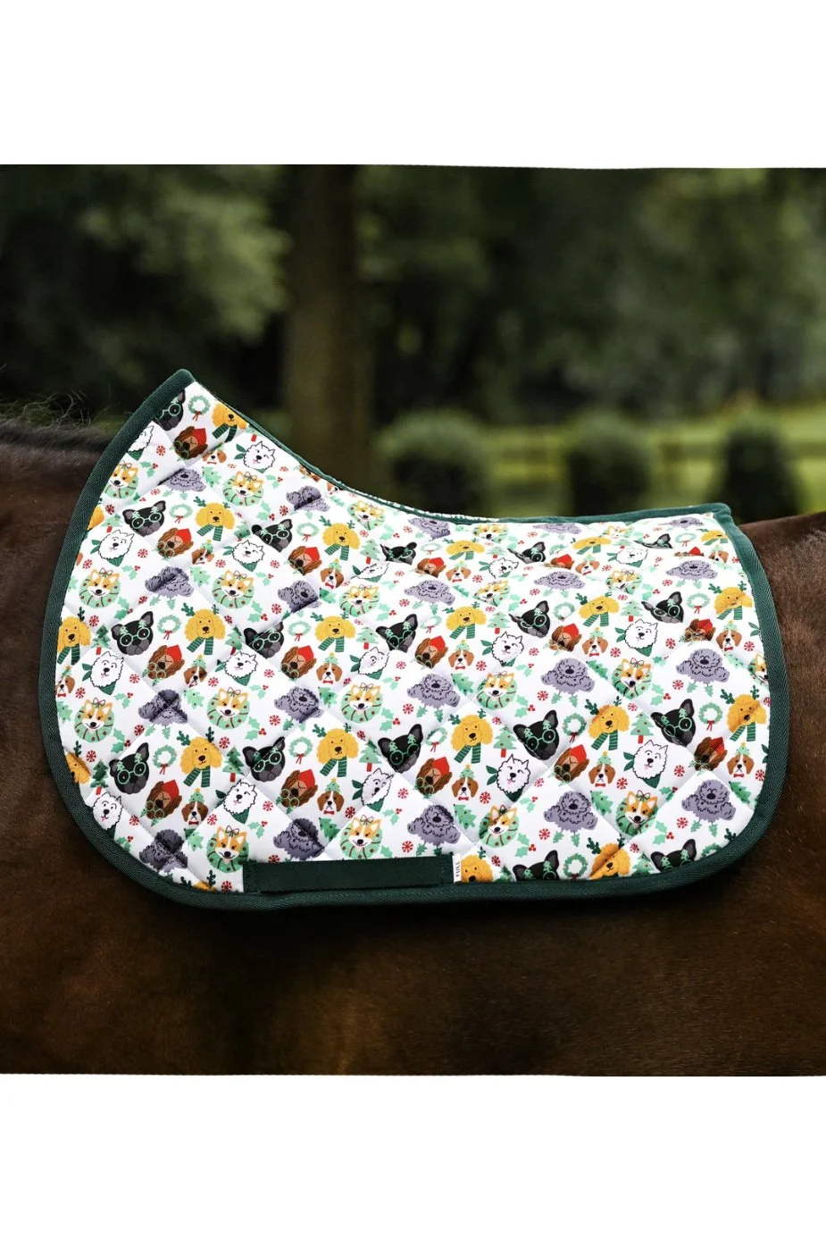Dreamers & Schemers Deck the Paws All Purpose Saddle Pad