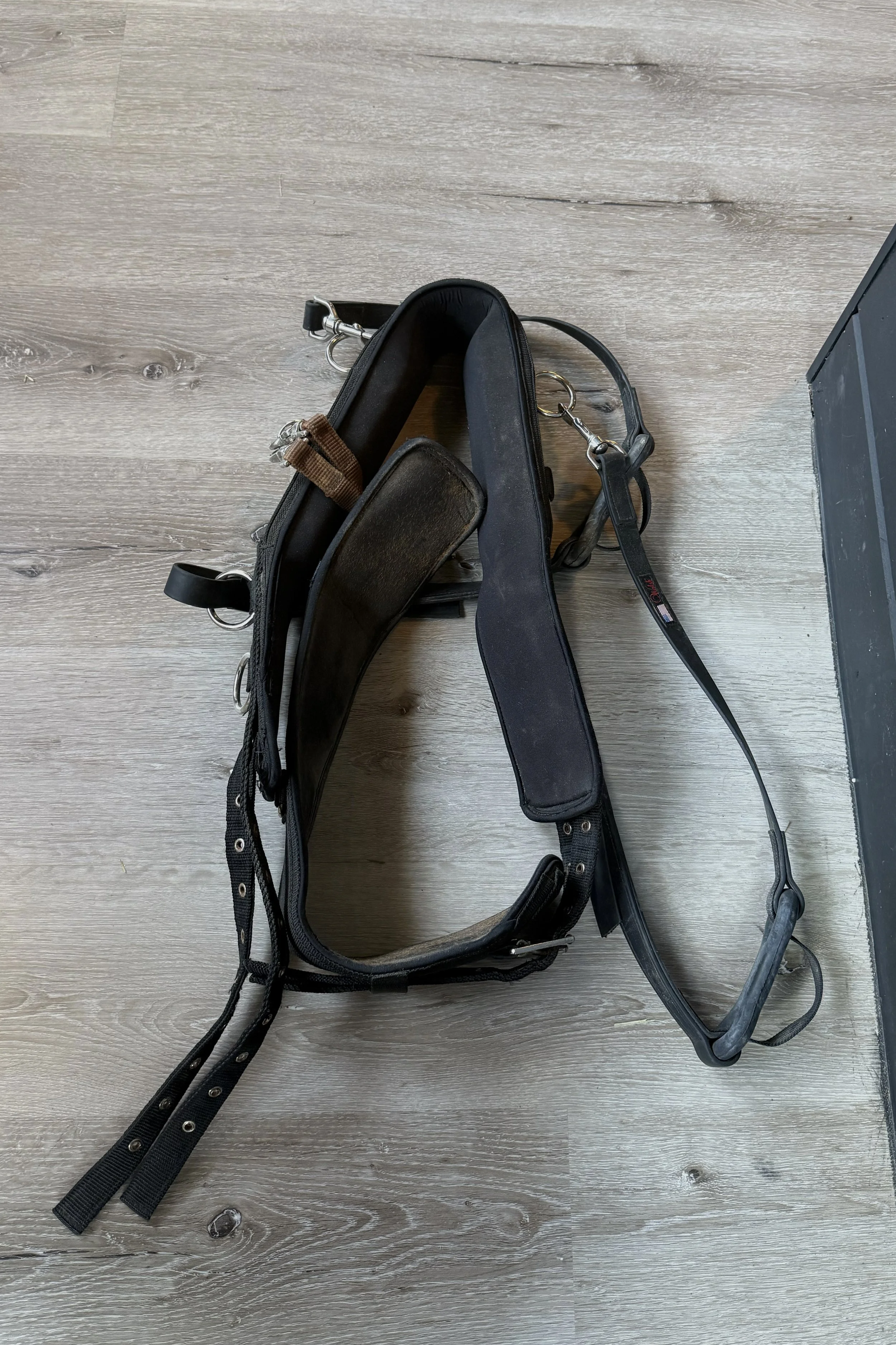 Lunging Surcingle with Walsh Side Reins in Black - Full
