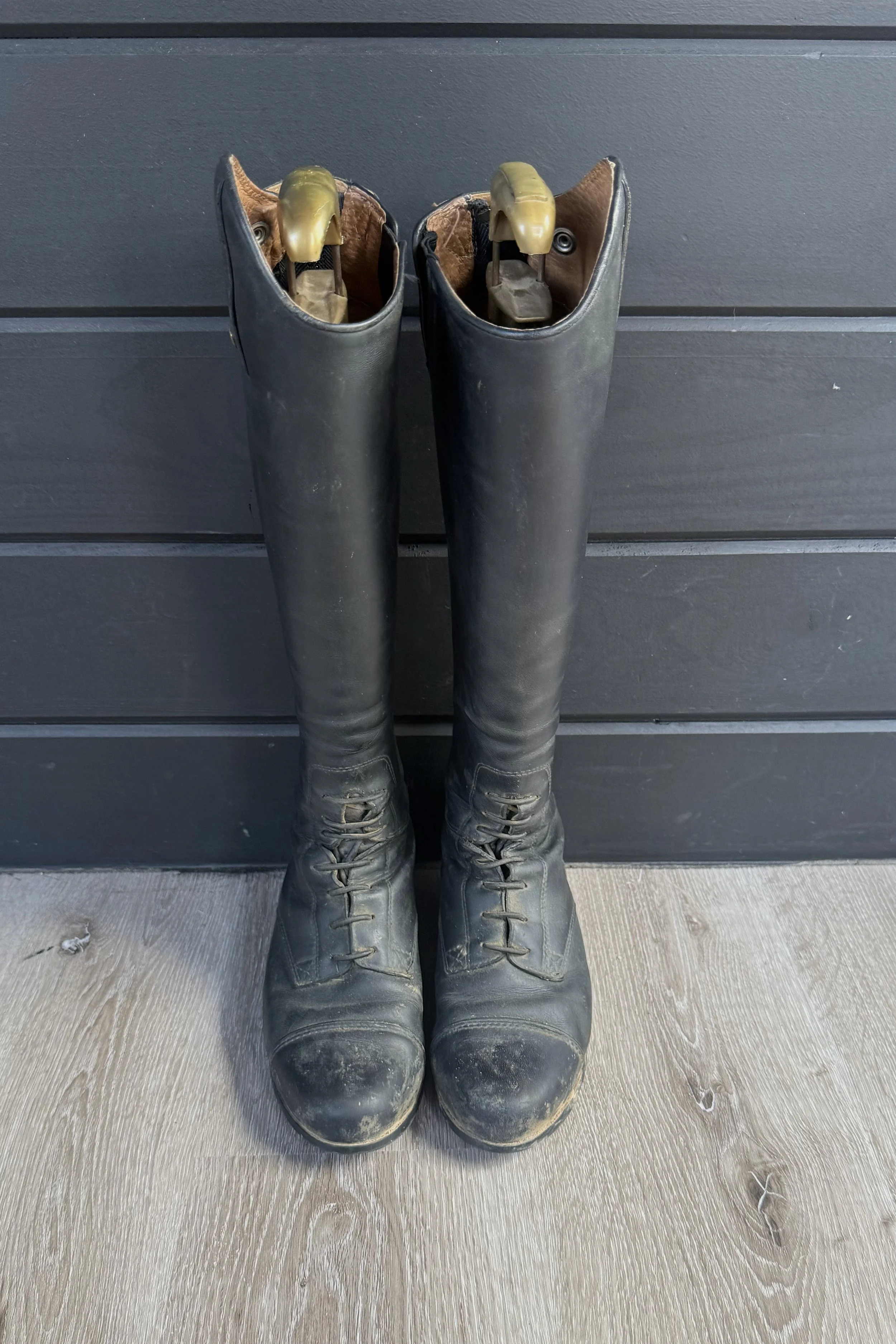ariat 4.jpg