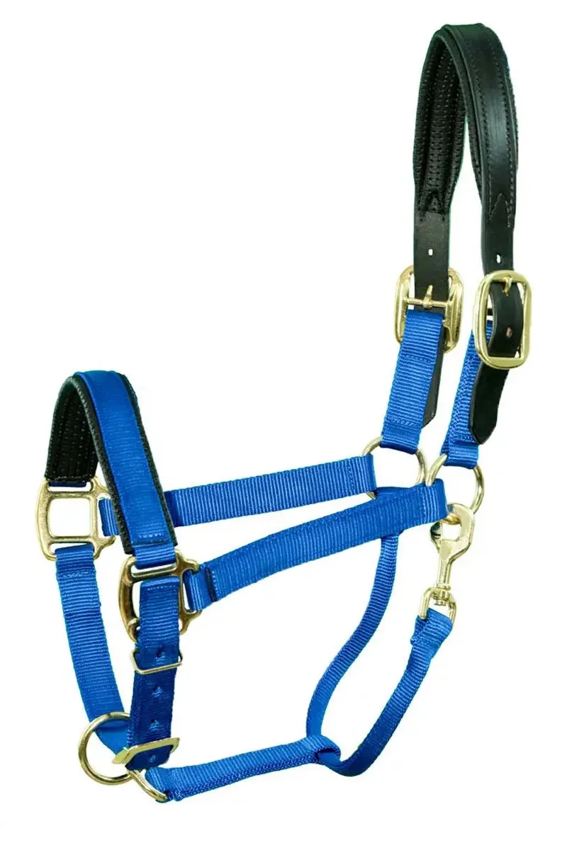 halter-1.jpg