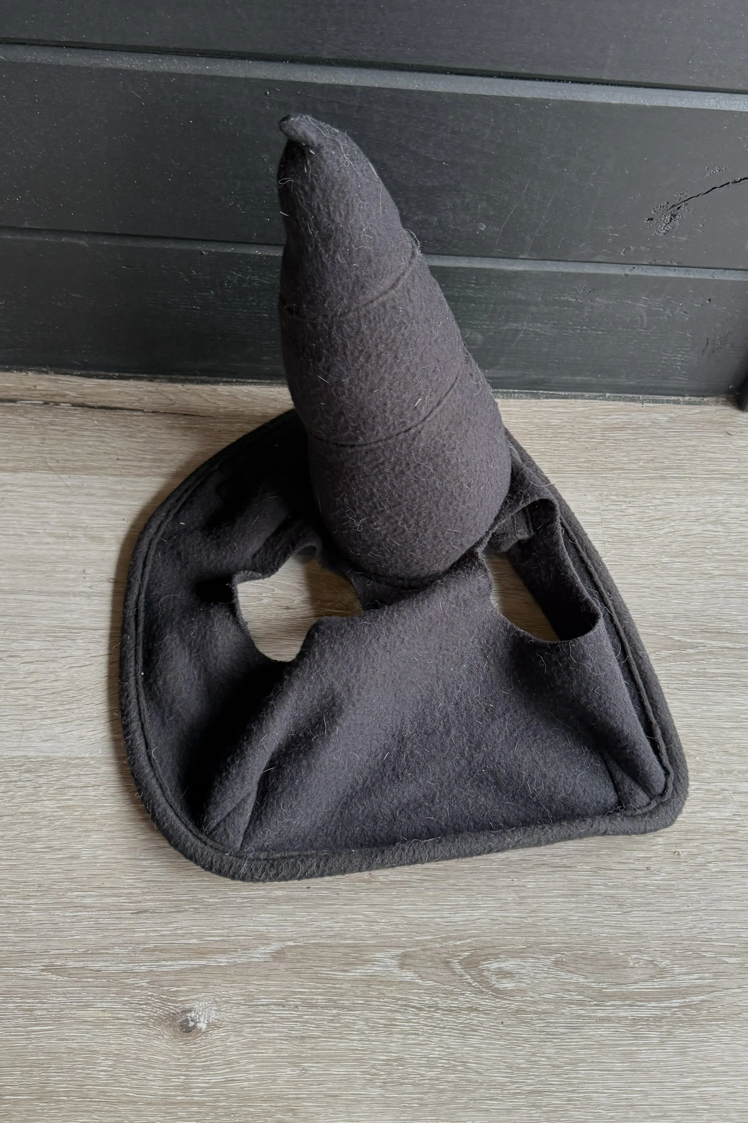 witch hat .jpg