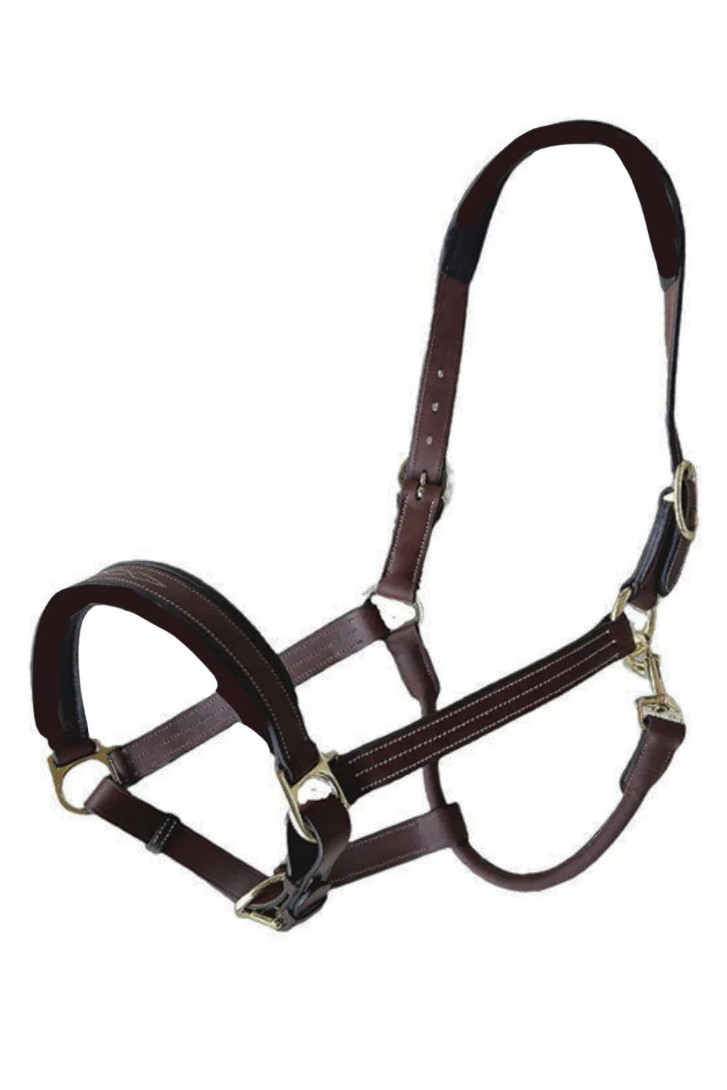RHC Equestrian Padded Leather Halter with Fancy Stitching In Brown