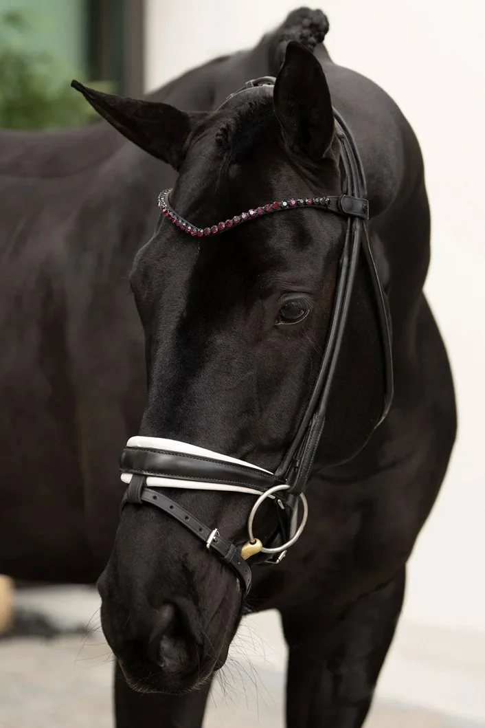 browm-1.jpg