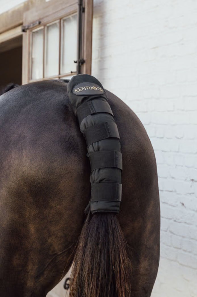 Kentucky Tail Guard Pro In Black - 2nd Round Equestrian