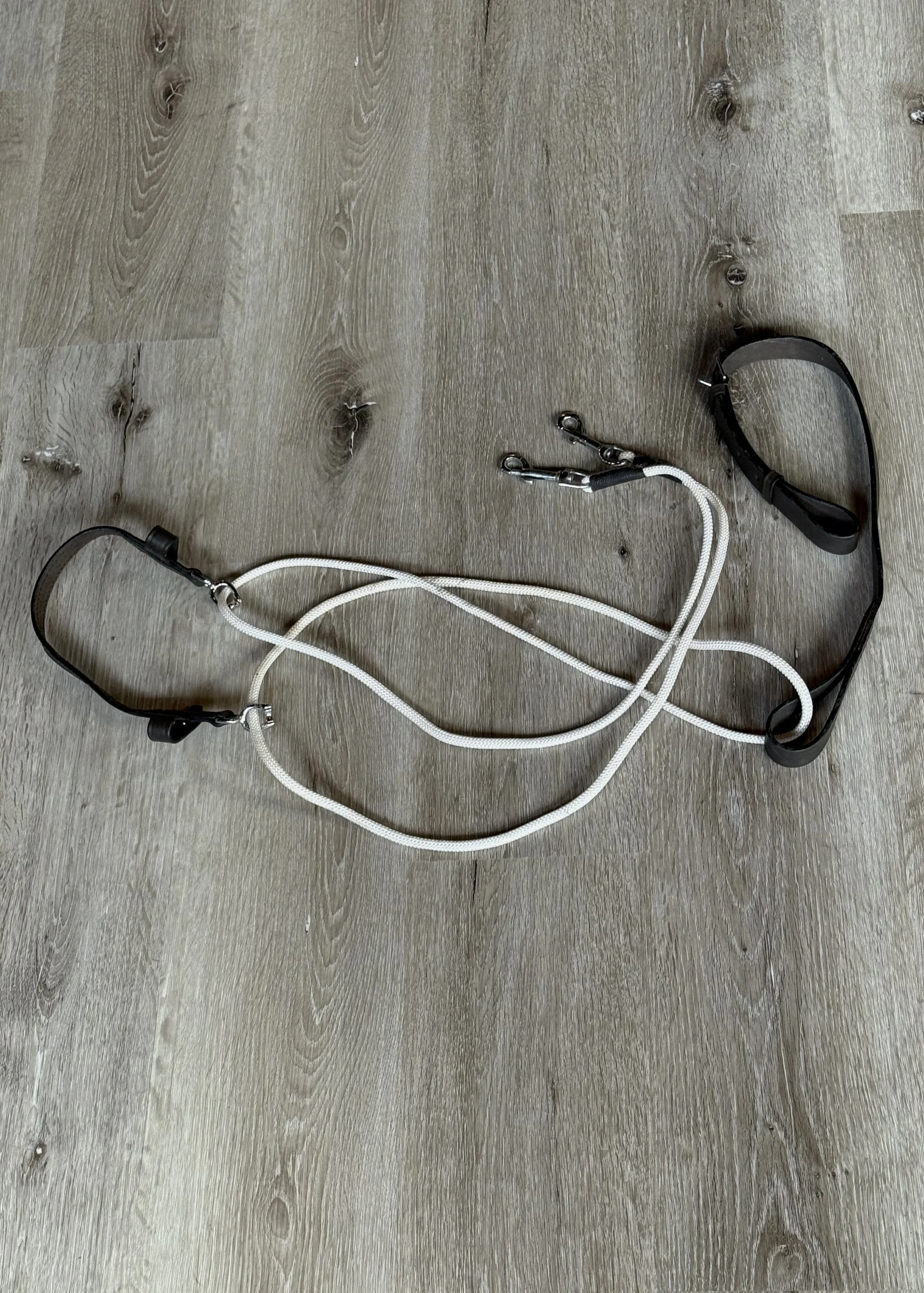 Chambon Training Aid