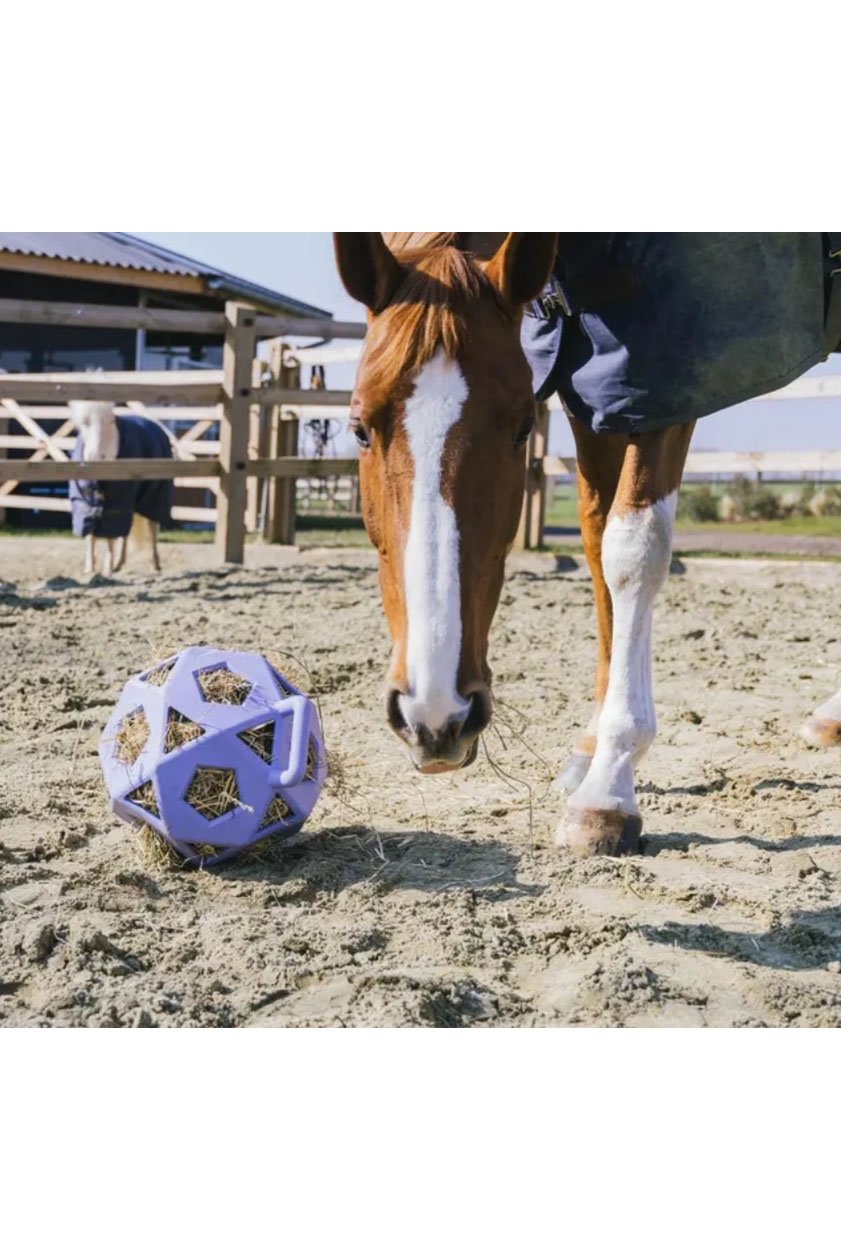 Kentucky Horsewear Relax Horse Play & Hay Ball In Lavender - 2nd Round Equestrian