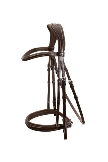 bridle.jpg