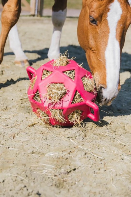 Kentucky Horsewear Relax Horse Play & Hay Ball In Bright Pink - 2nd Round Equestrian
