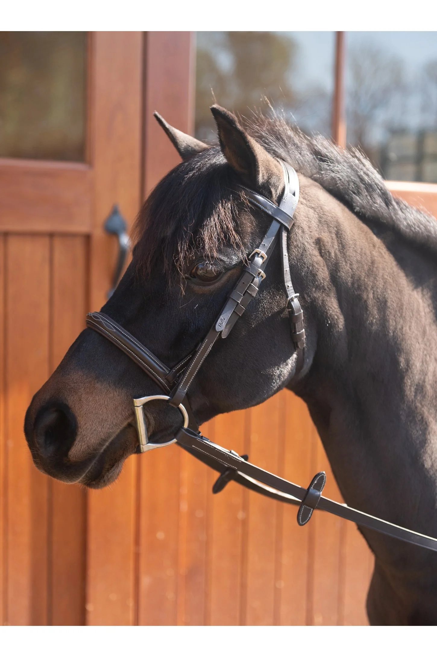 bridle.jpg