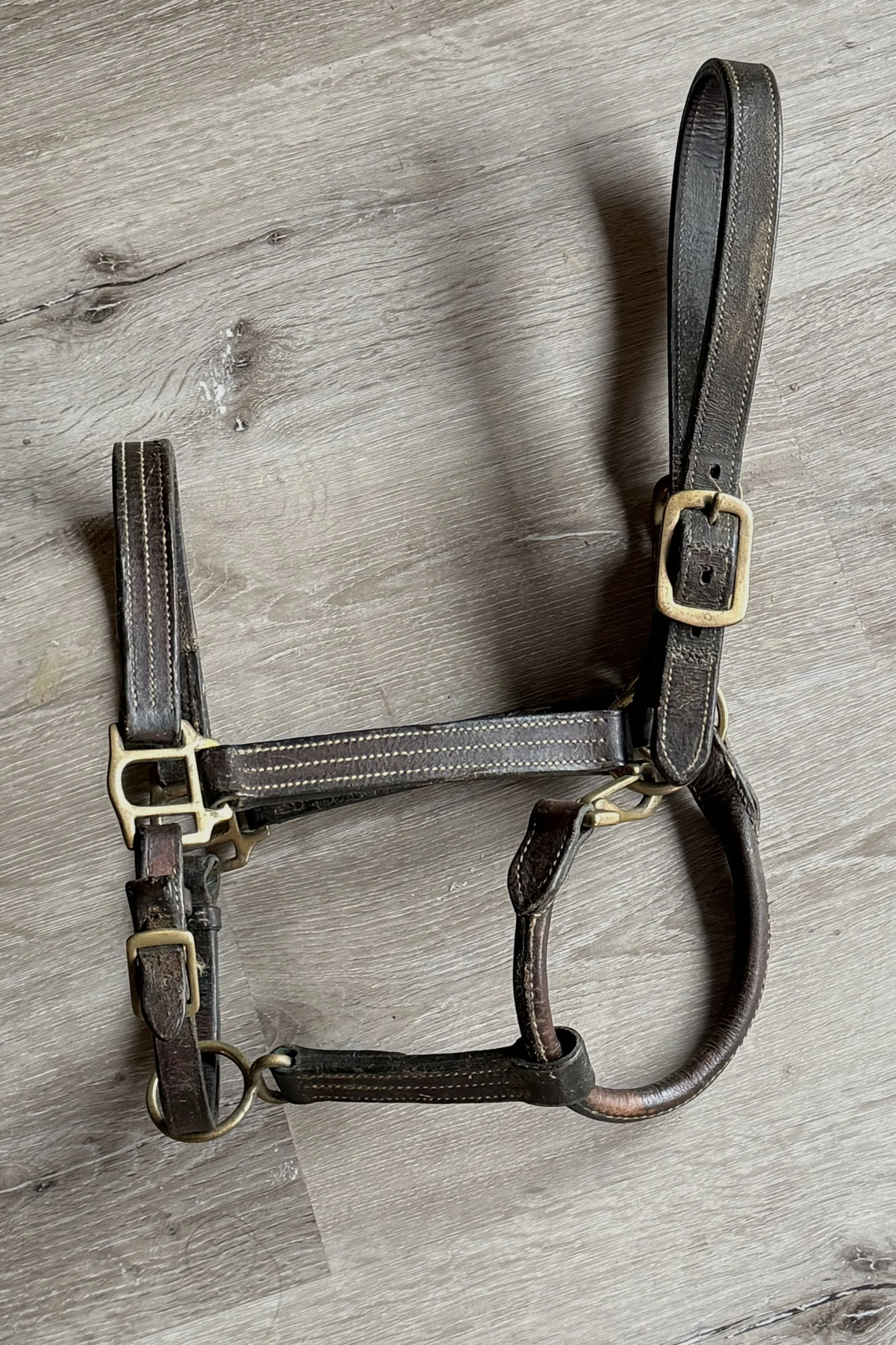Triple Stitched Leather Halter In Brown - Full