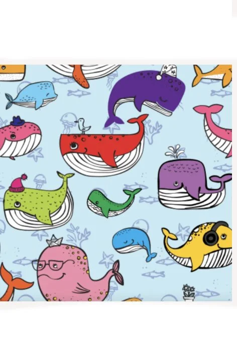 DREAMERS & SCHEMERS WHALE WHALE WHALE Pair & a Spare - Adult