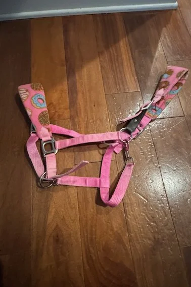 PONYO Horsewear Head Collar In Pink/Donuts - Full