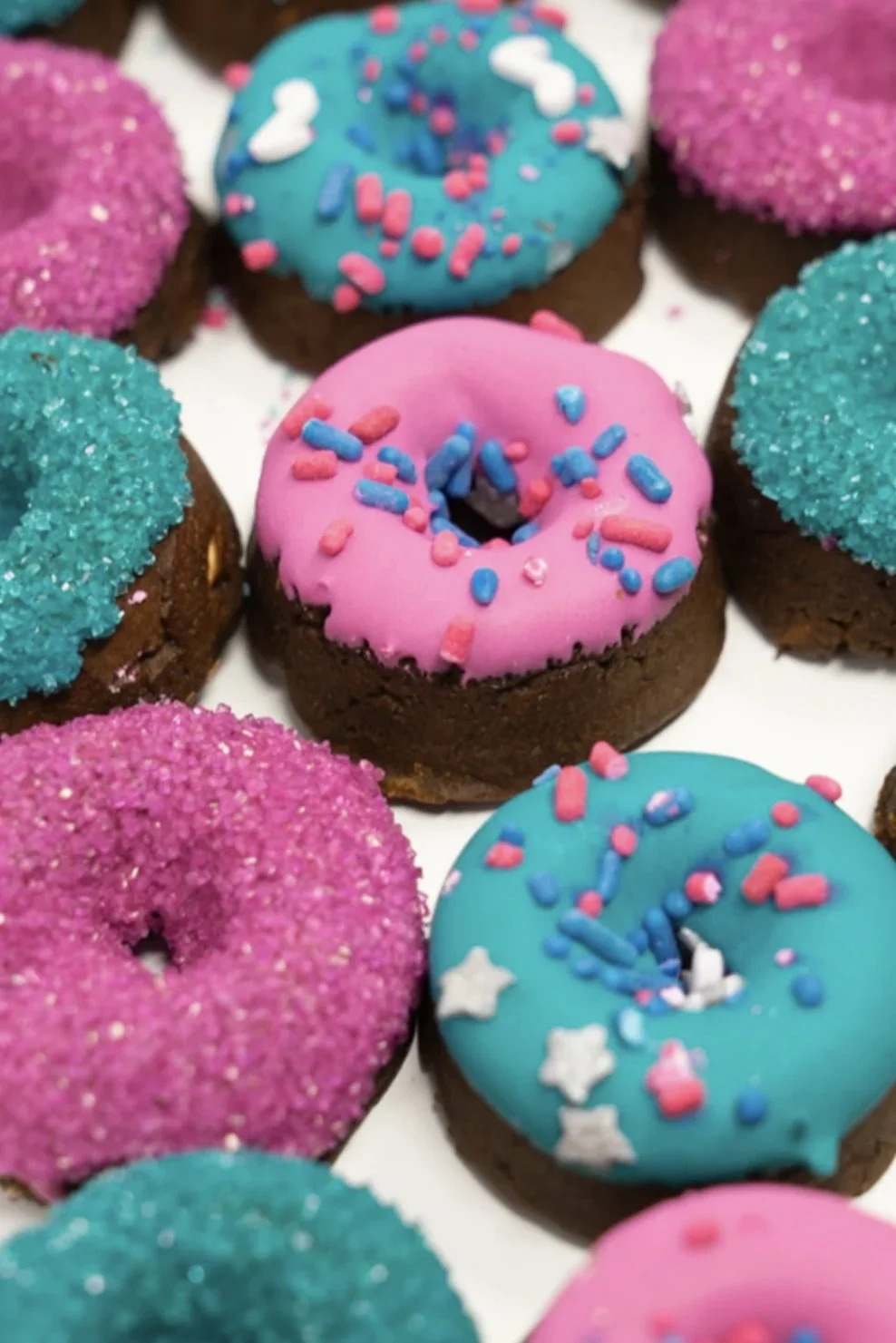 The Posh Pony Mini Donuts -ROCKSTAR DONUTS