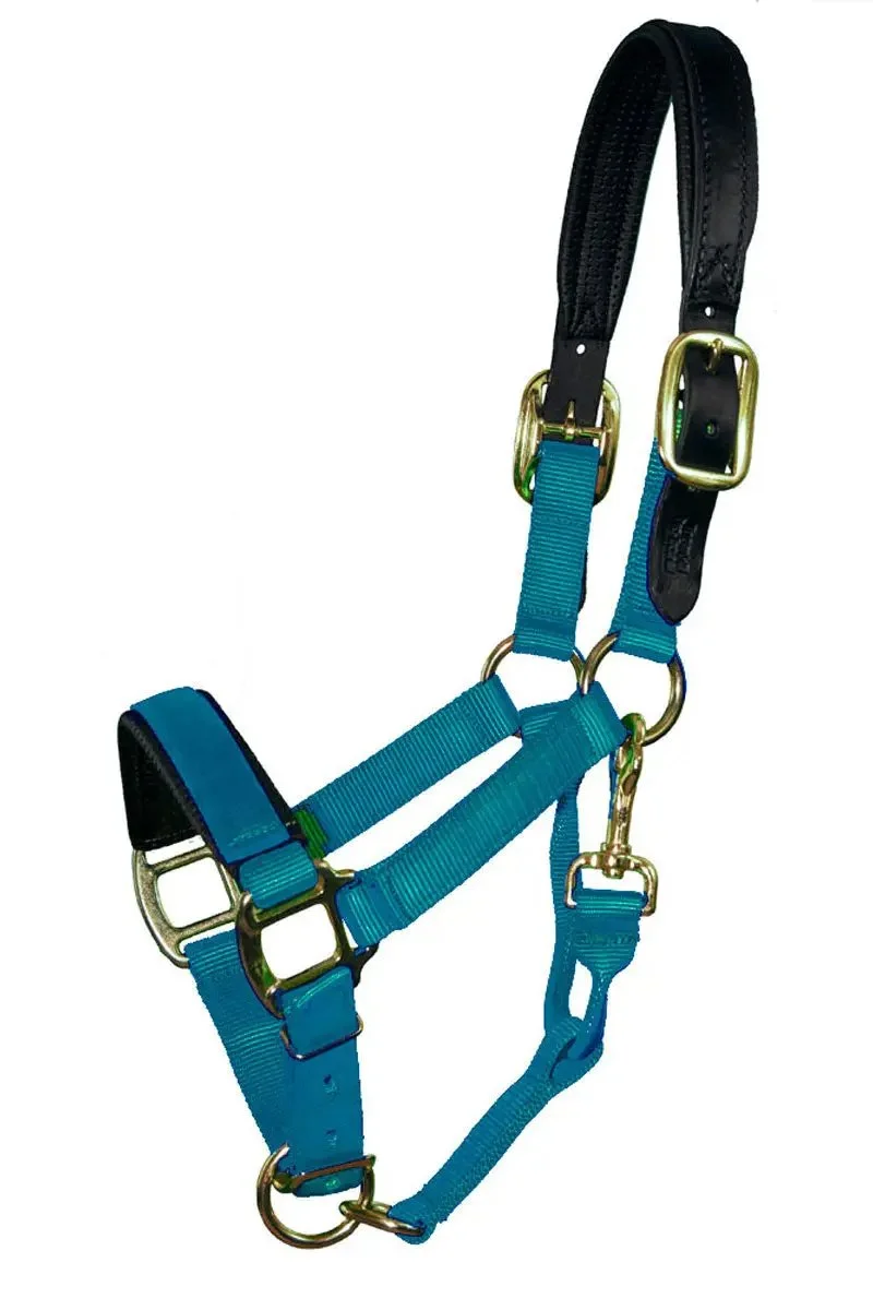 halter-2.jpg