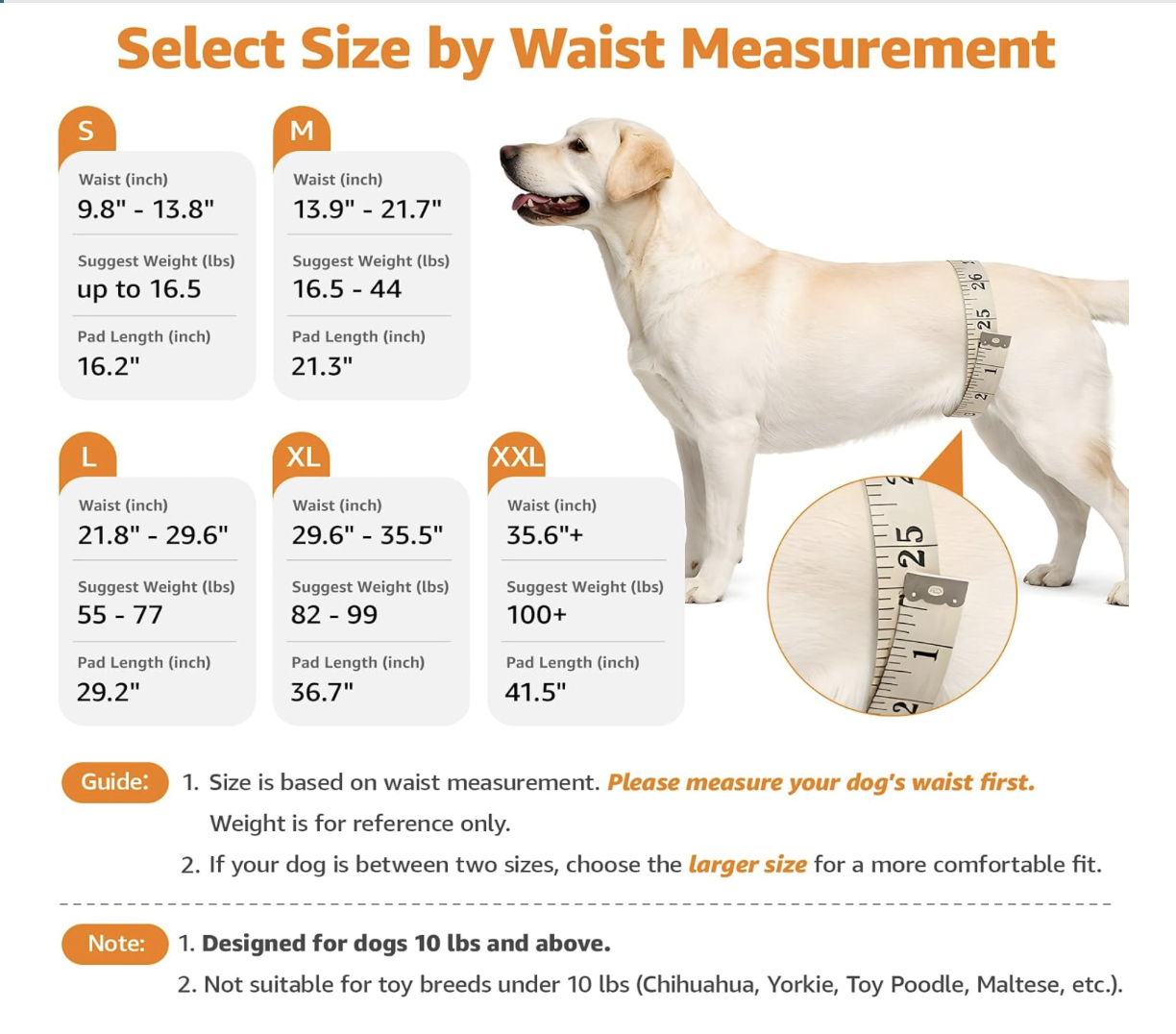 Screenshot 2026-04-01 at 8.40.02 PM.png (Copy)