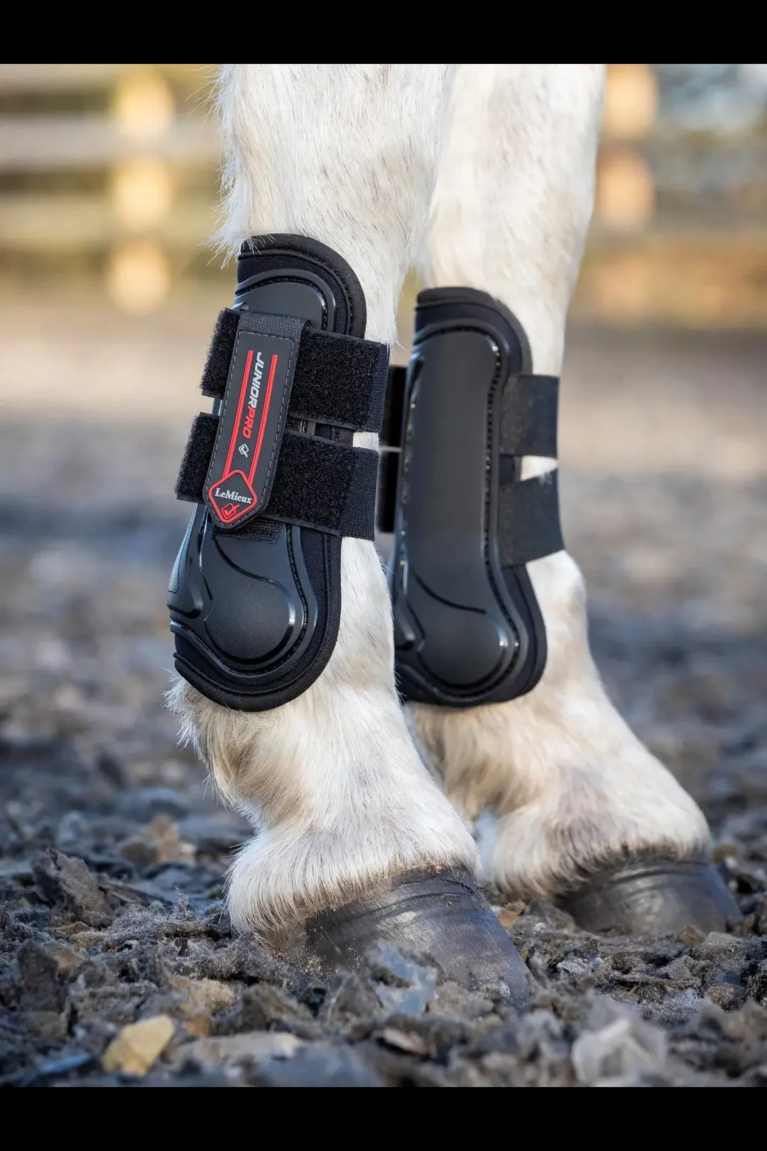 tendon 1 .jpg