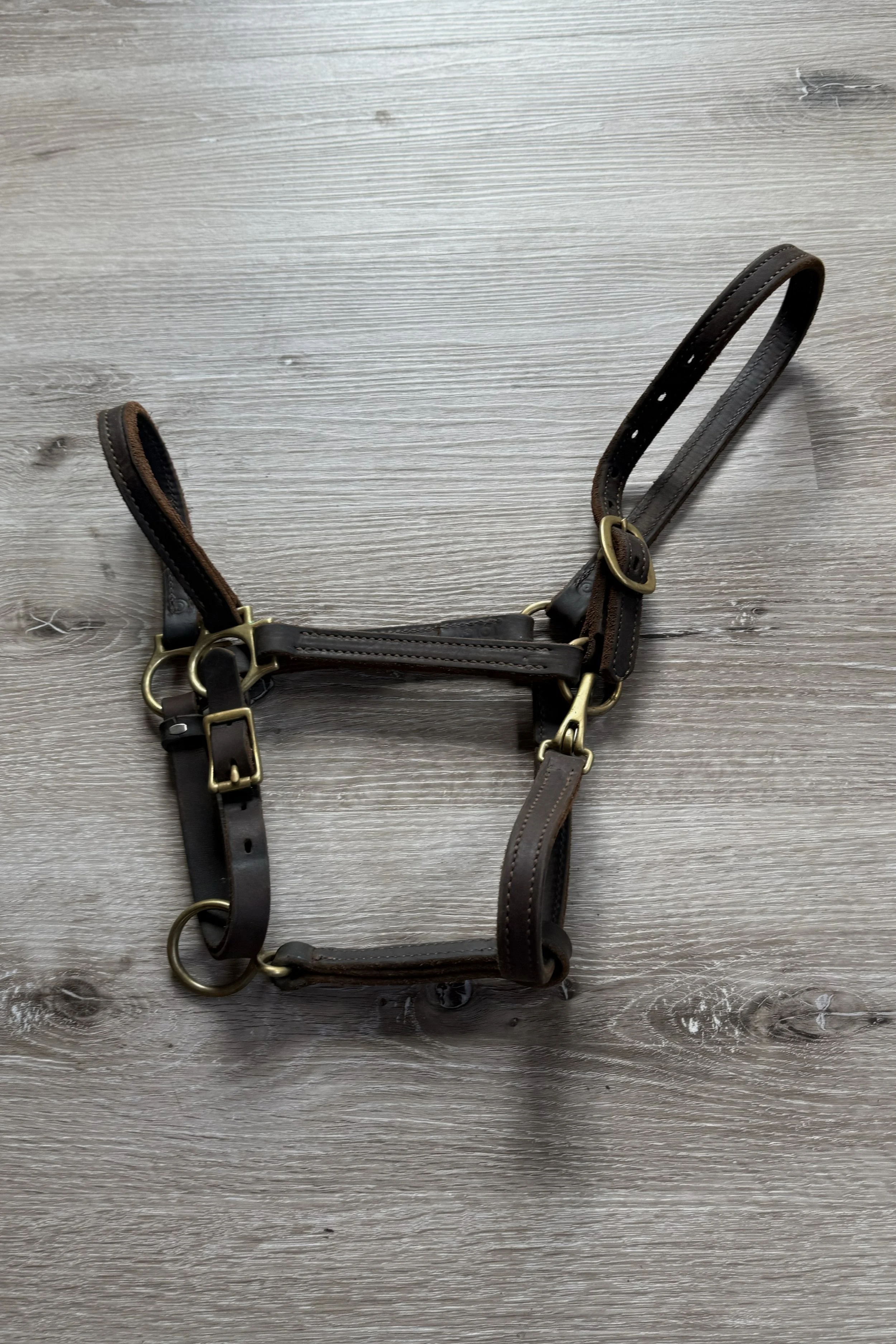 halter.jpg