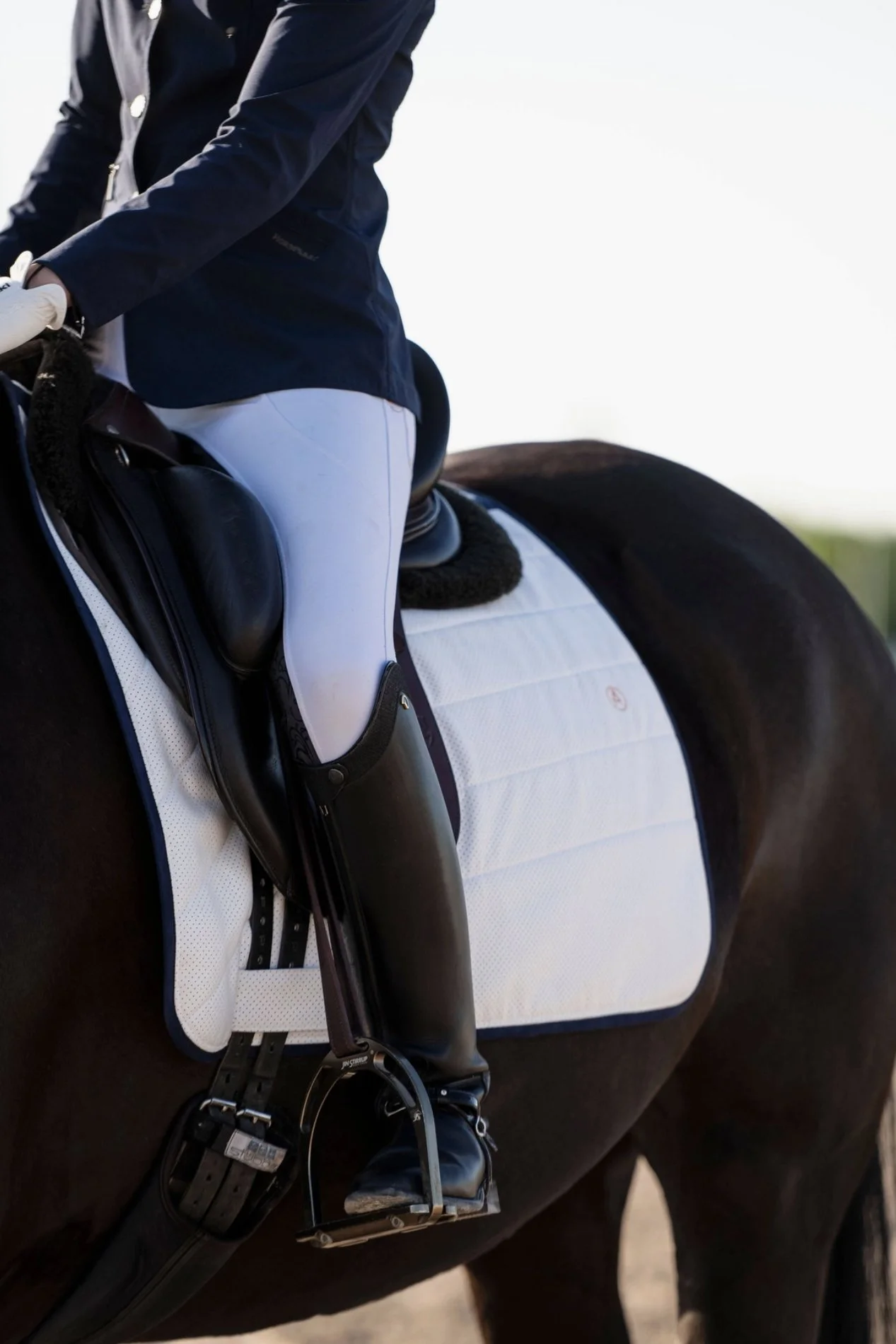 Anatomeq Equinewear Perfeq Dressage Pad In White With Navy Trim