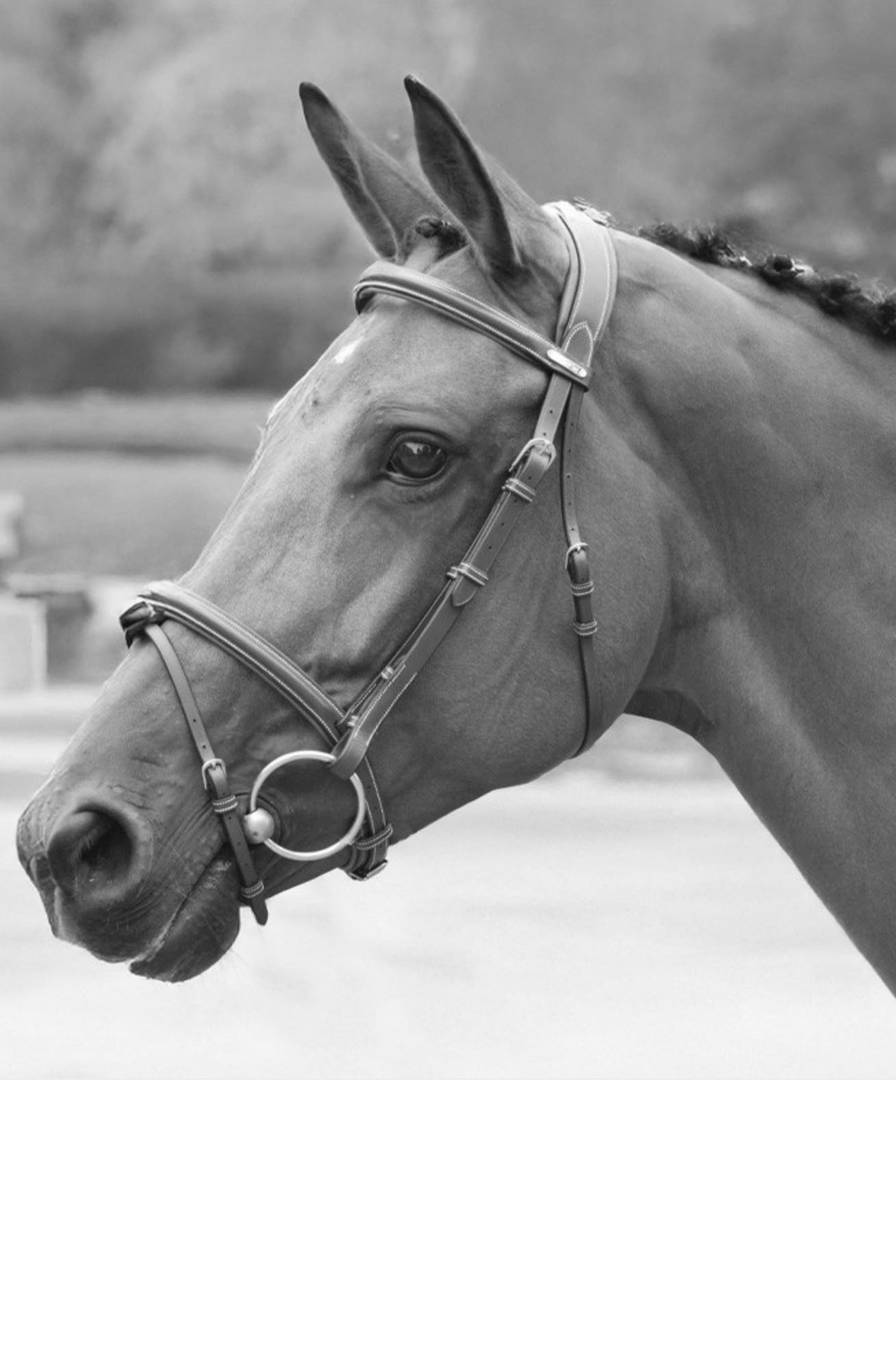 JUMP'IN London Bridle One Collection In Black