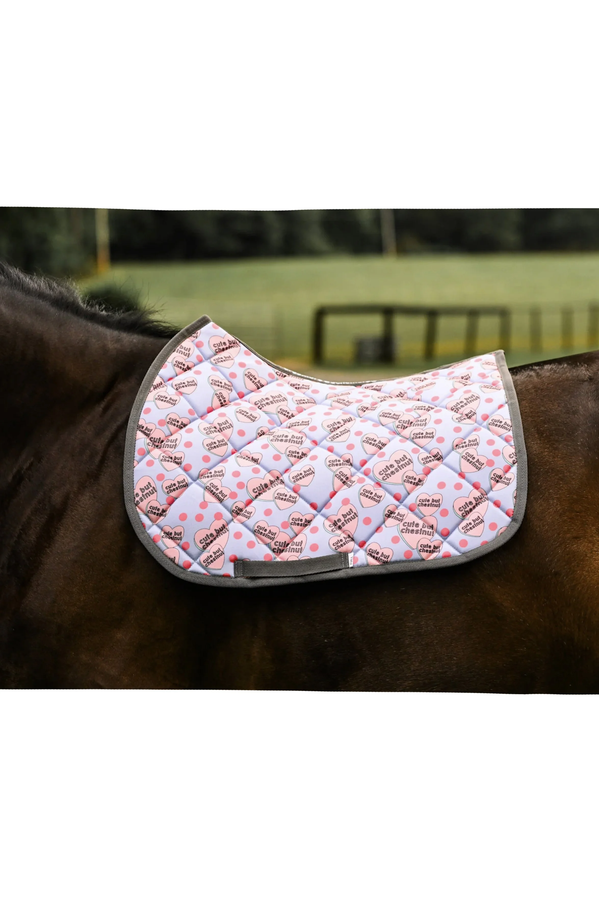 Dreamers & Schemers Cute But Chestnut All Purpose Saddle Pad