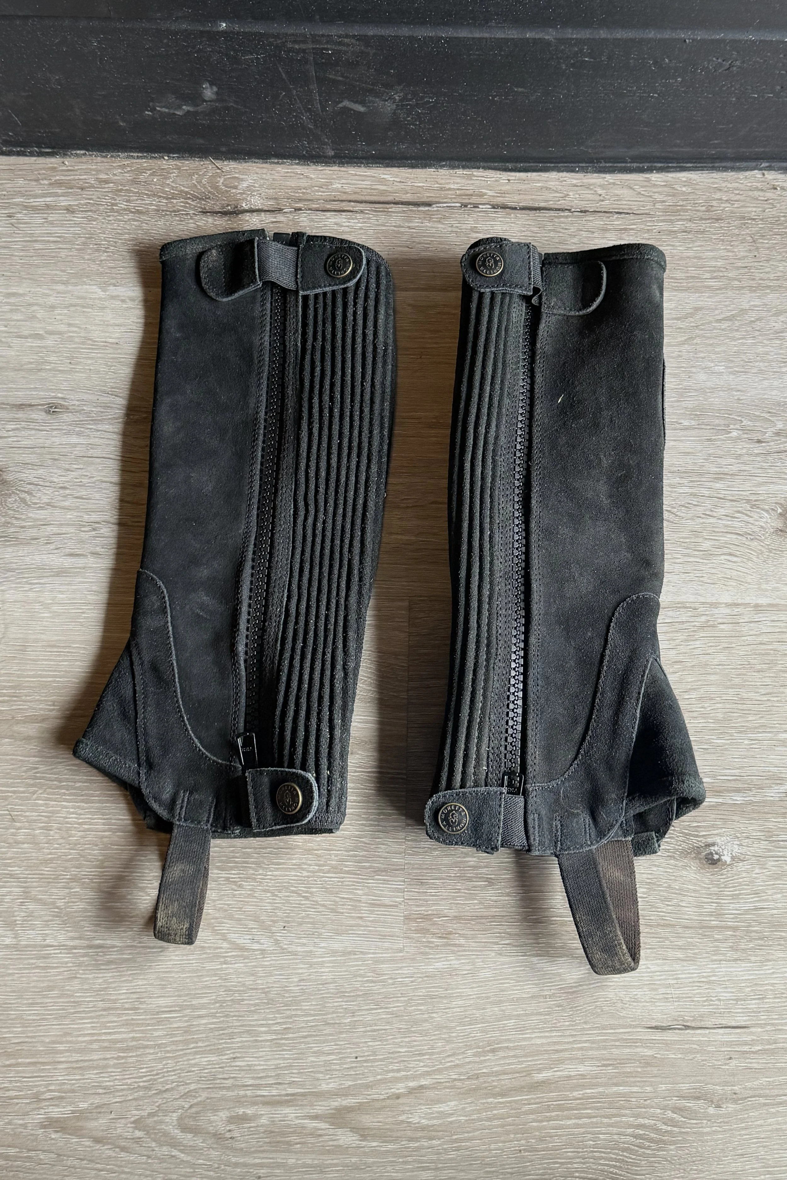 Sires Moretta Suede Half Chaps In Black - Kids Large