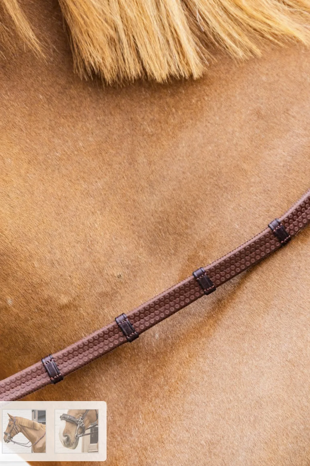 reins-2.jpg