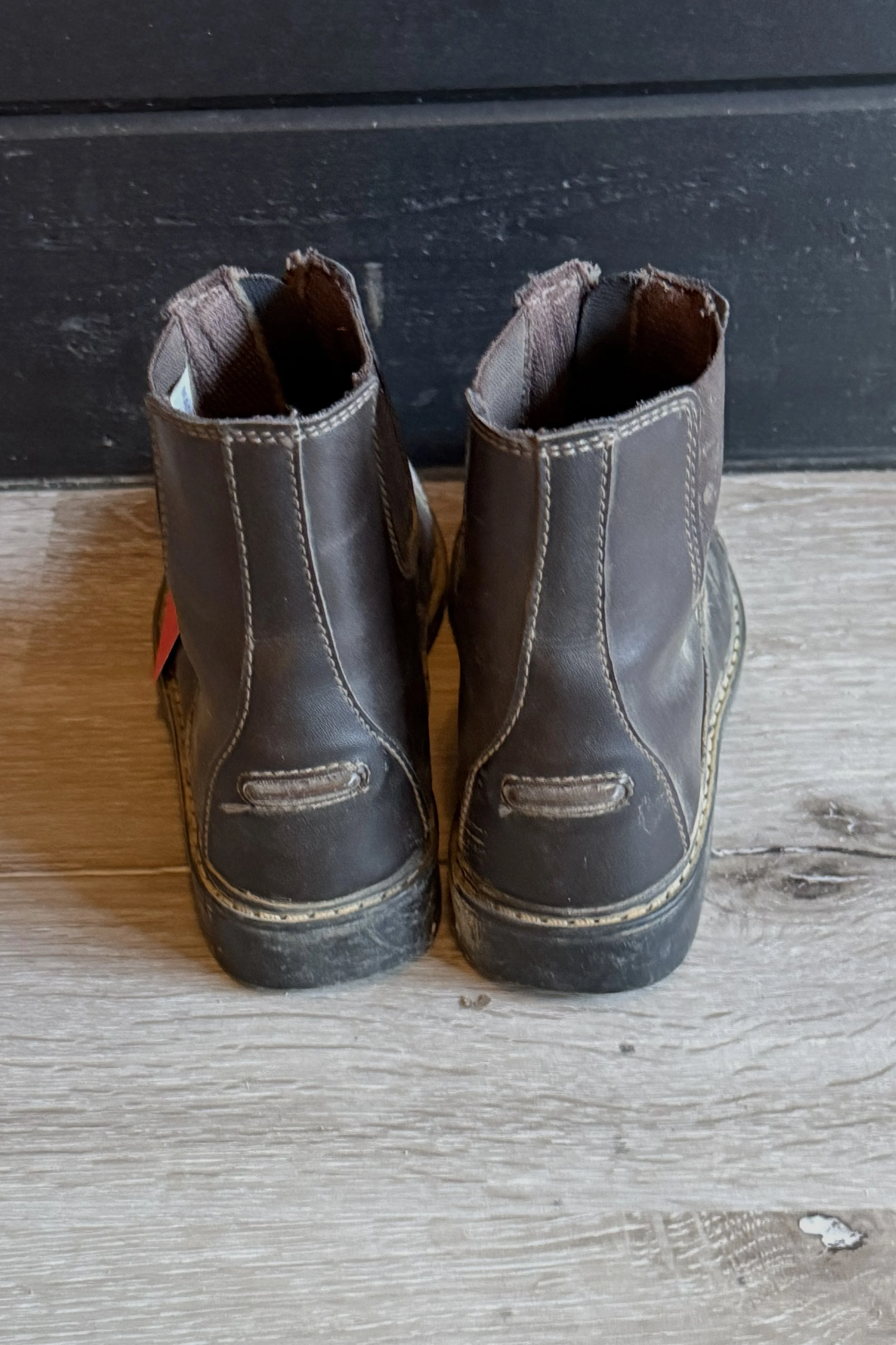 brown paddock 2 .jpg