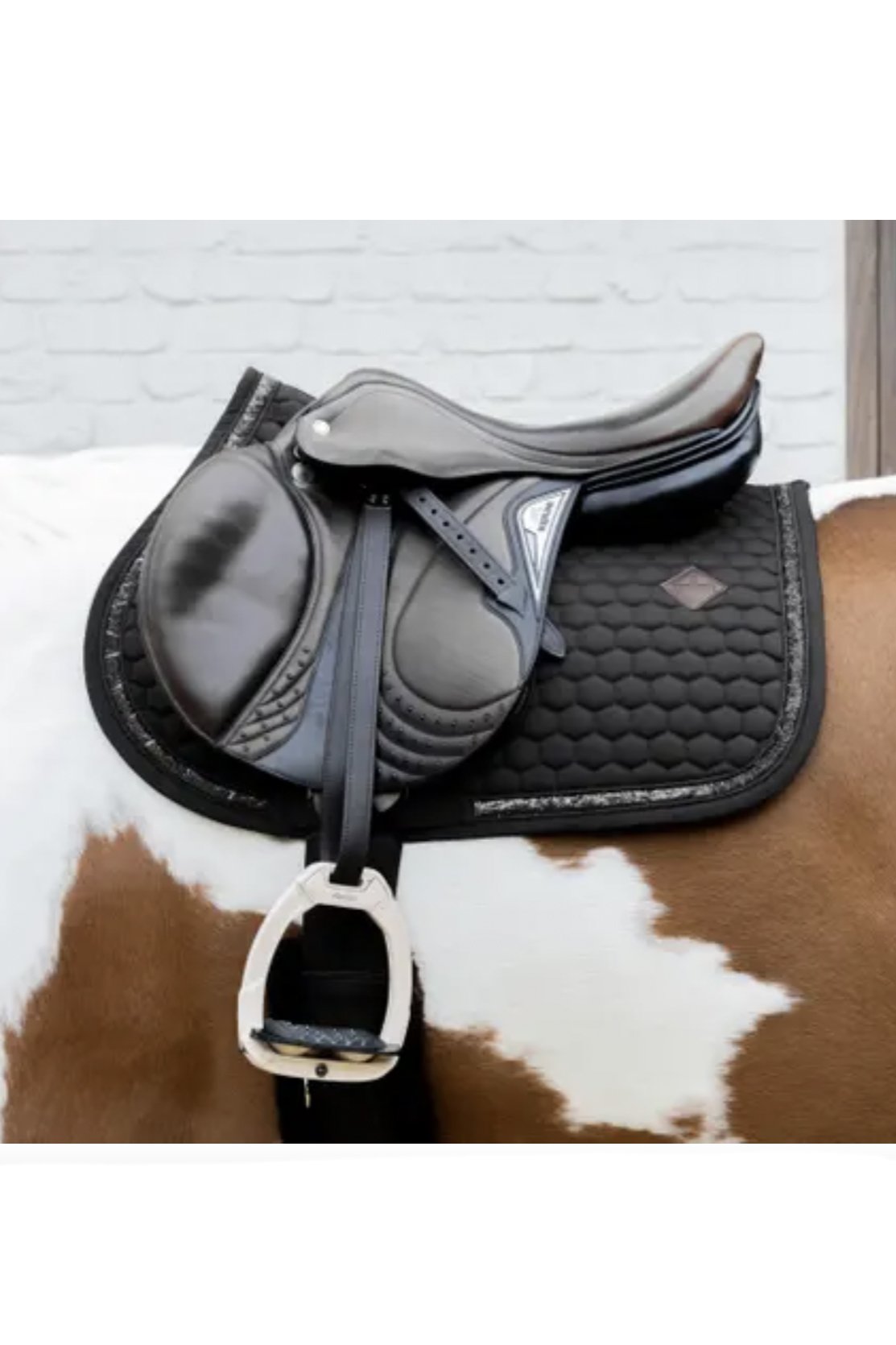 Kentucky Horsewear Saddle Pad Glitter Band Jumping In Black - 2nd Round Equestrian