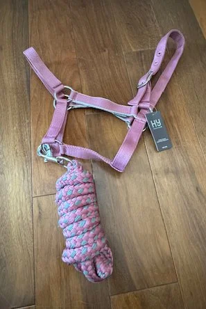 Hy Equestrian Synergy Head Collar & Lead Rope Color Grape/Silver in Size Cob