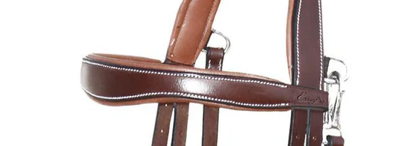 Screenshot 2026-02-07 at 4.10.18 PM.png