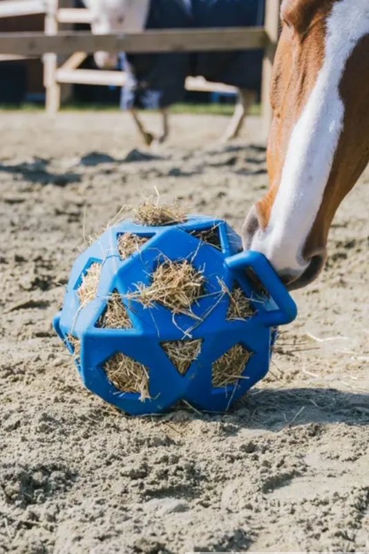 Kentucky Horsewear Relax Horse Play & Hay Ball In Royal Blue - 2nd Round Equestrian