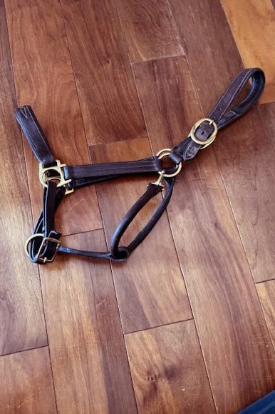 Joseph Sterling Dorchester Padded Leather Halter In Brown - Full
