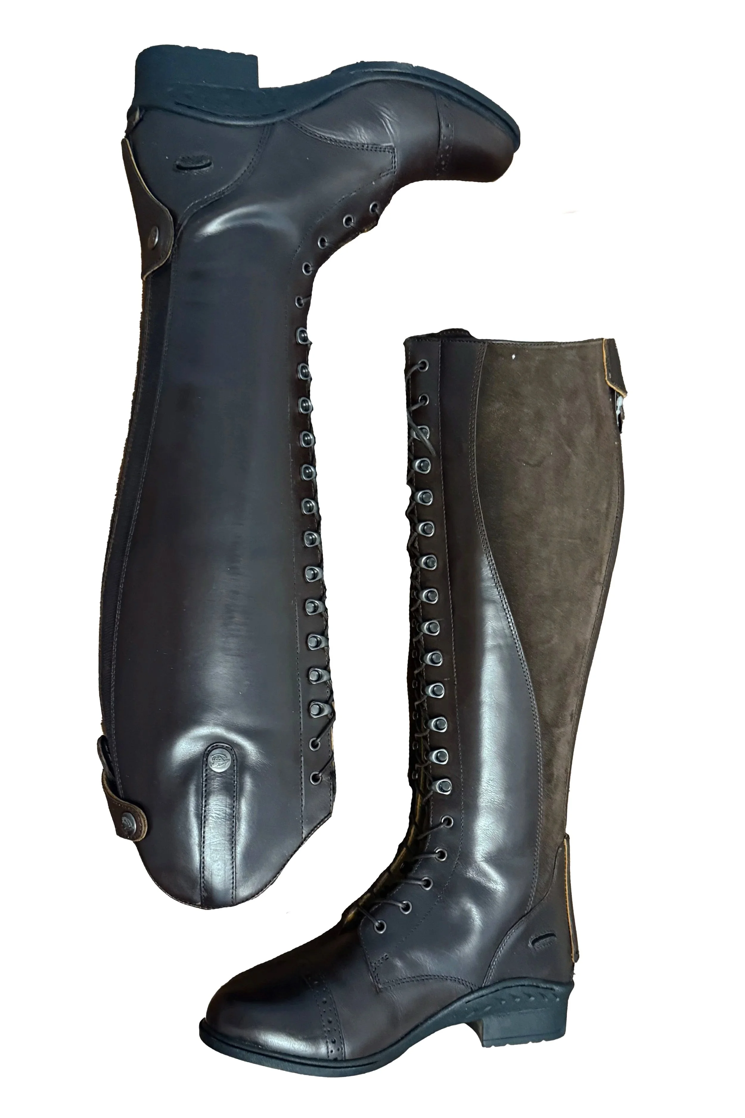 Brown+2.jpg